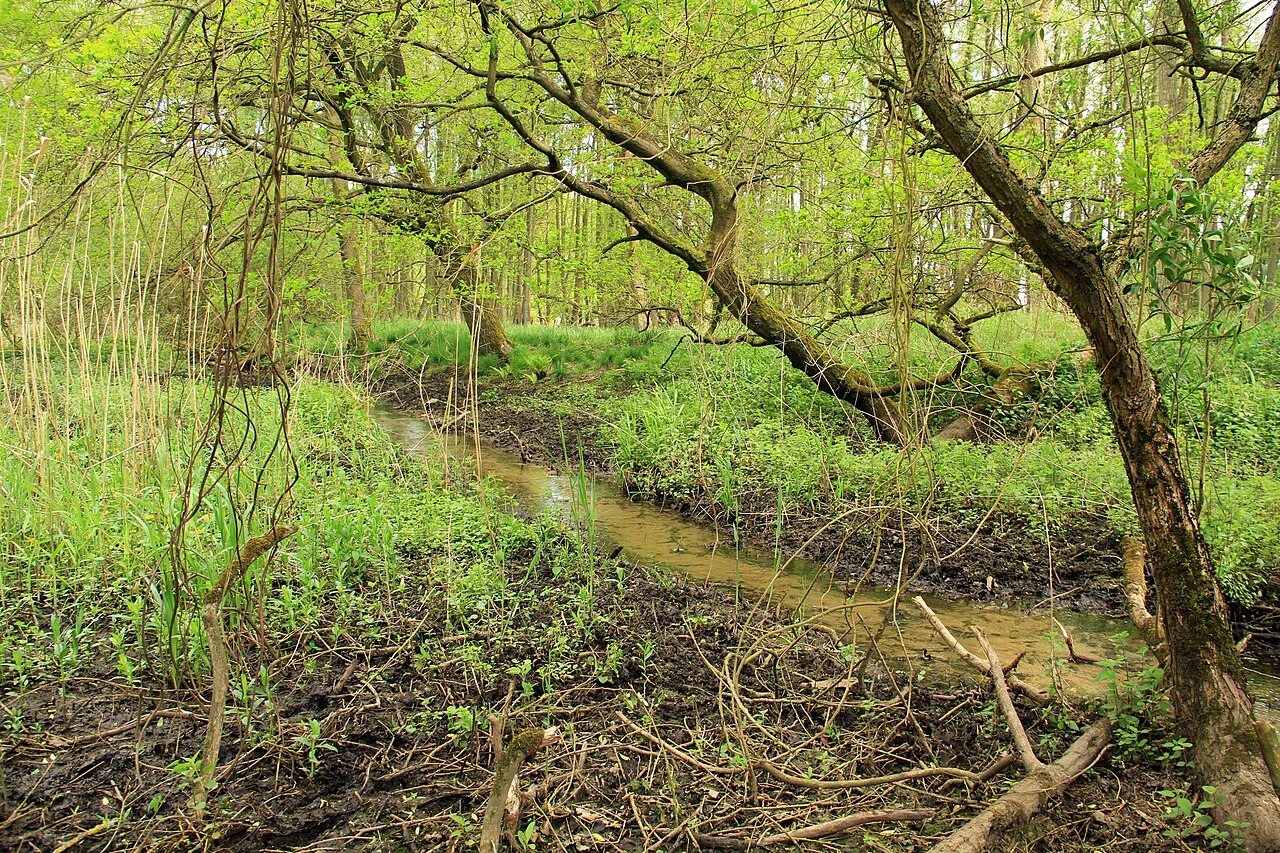 Photo of Altenmedingen