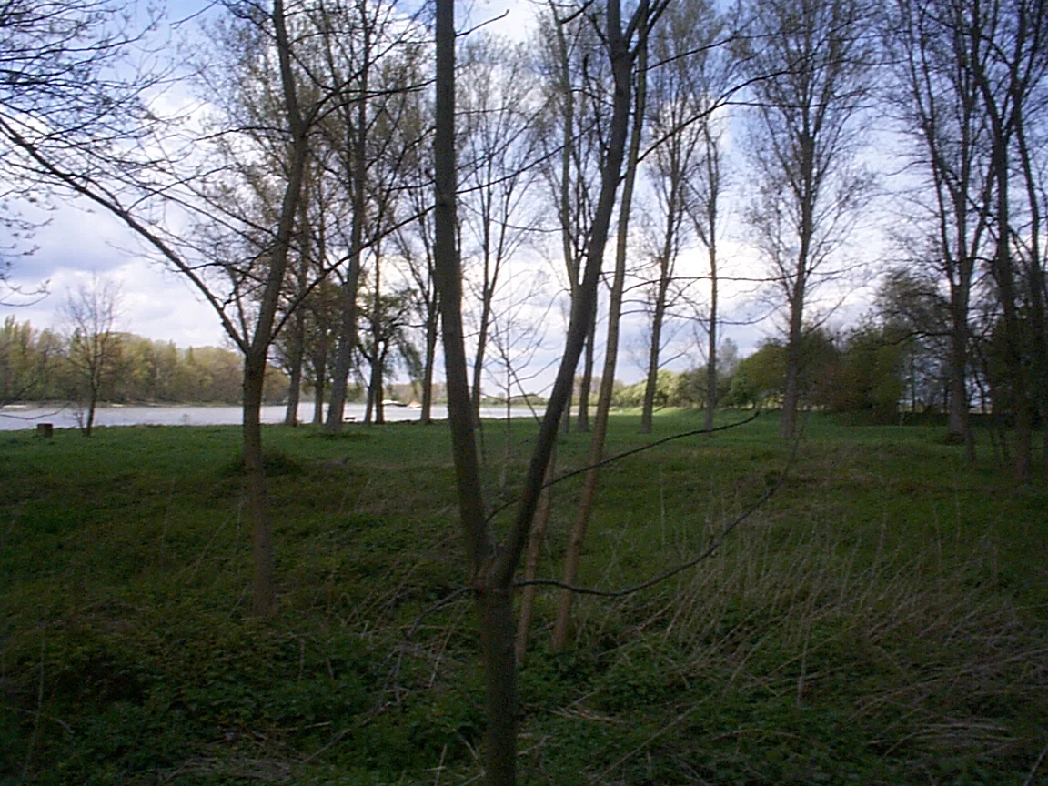 Photo of Altlußheim