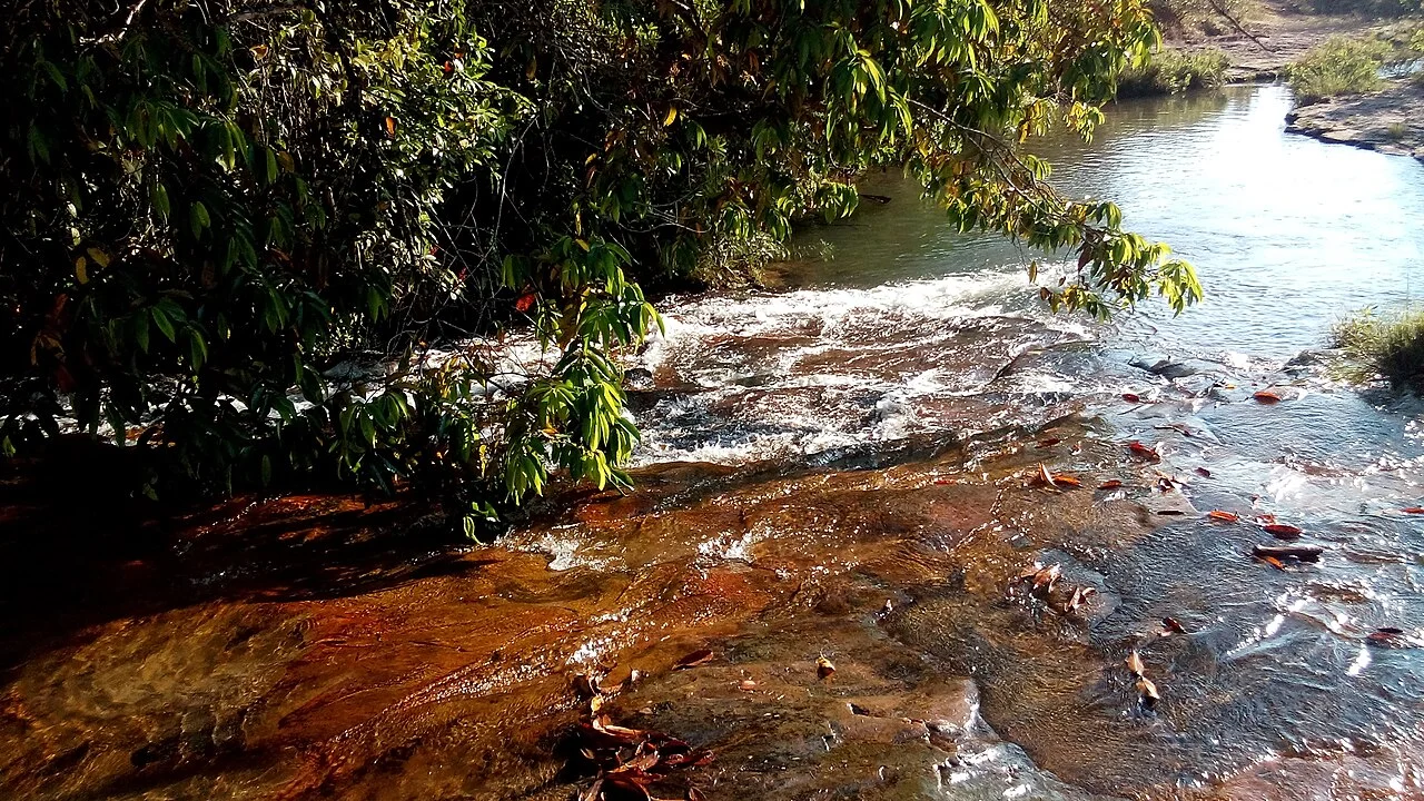 Photo of Alto Garças