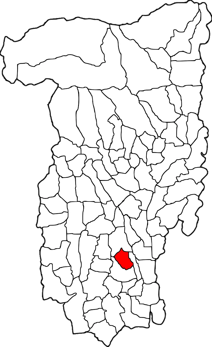 Photo of Amărăşti