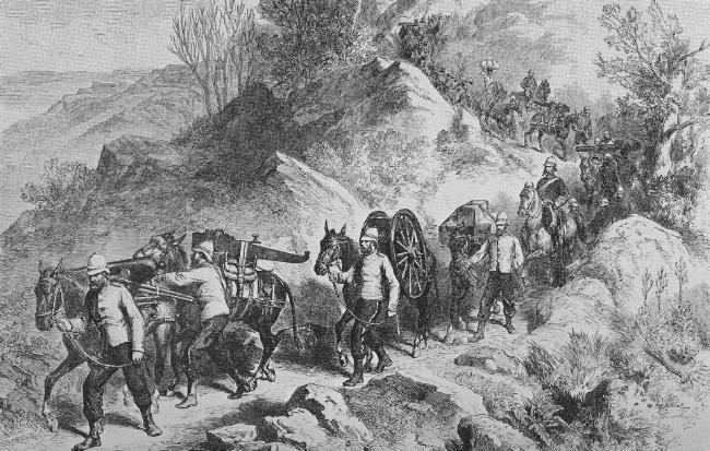 Photo of Amba Giorgis