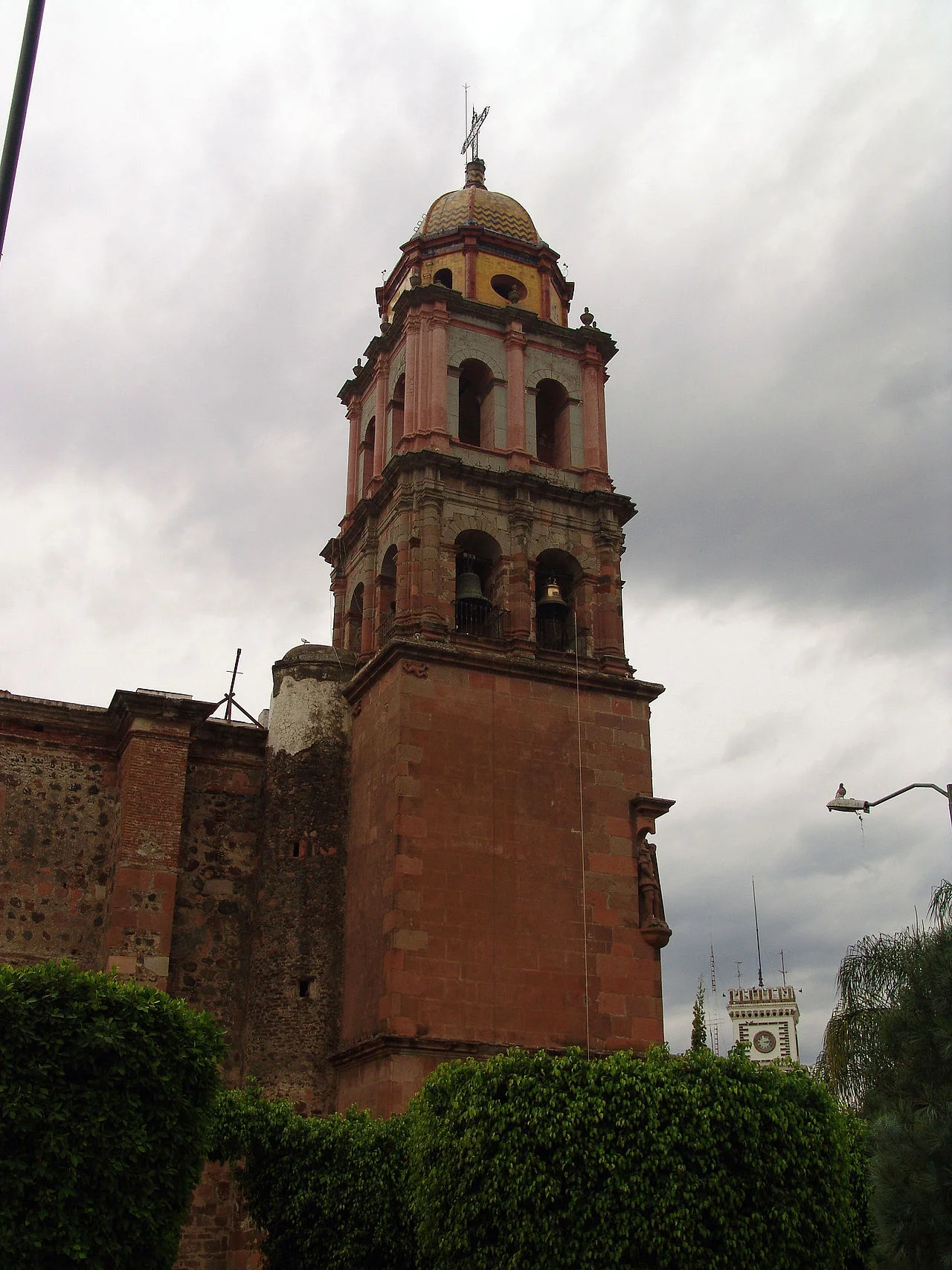 Photo of Ameca