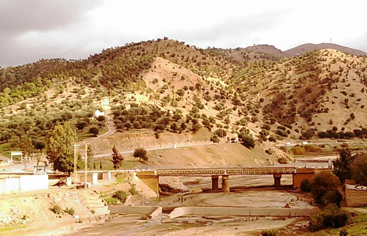 Photo of Ammi Moussa