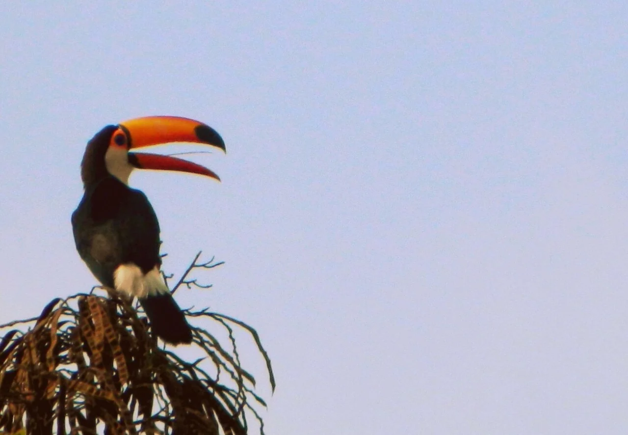 Photo of Amorinópolis