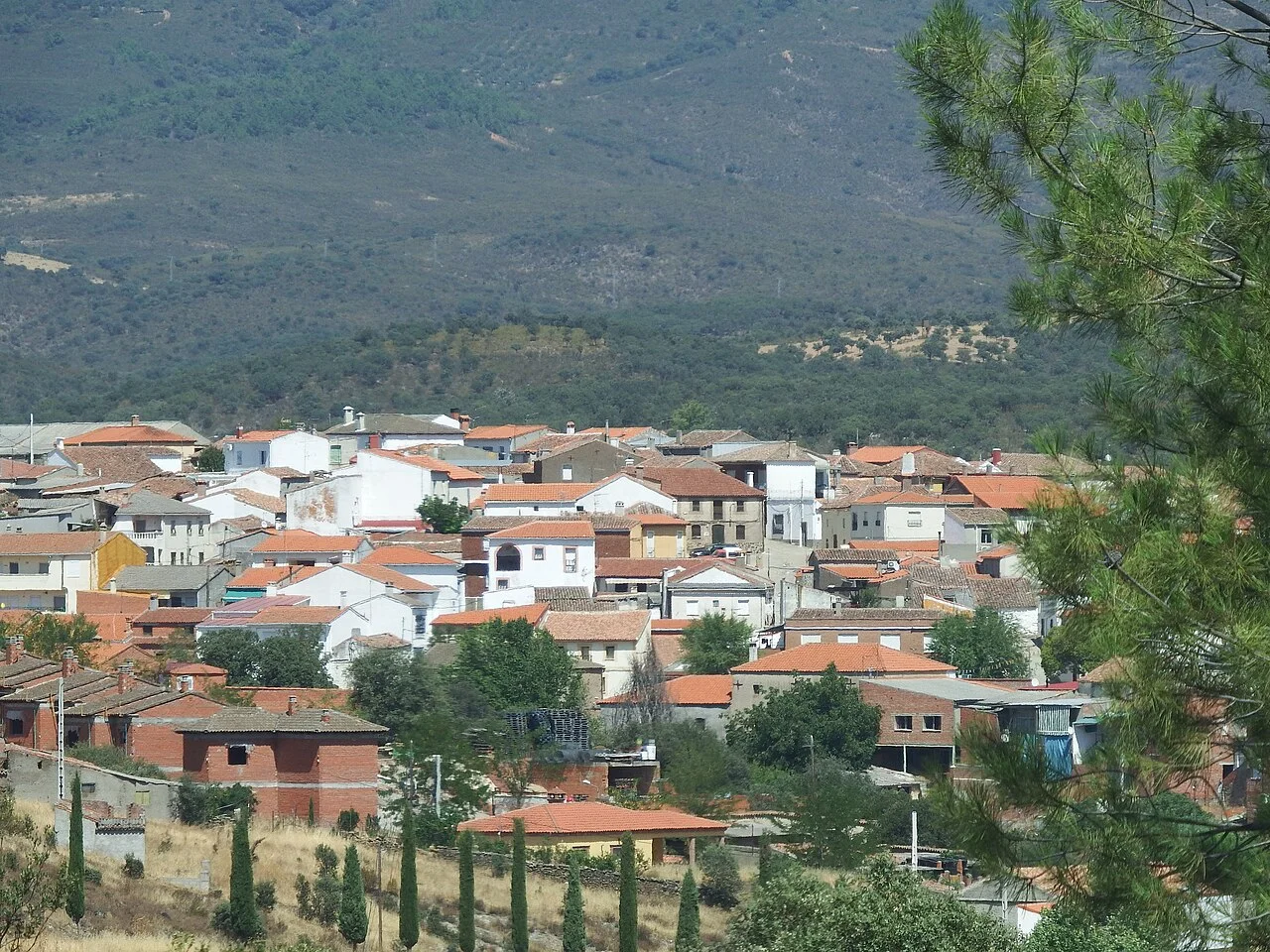 Photo of Anchuras