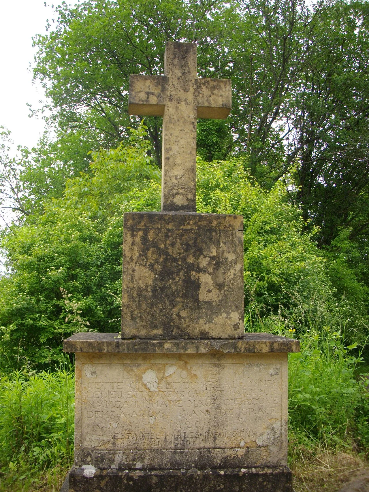 Photo of Ancy-sur-Moselle