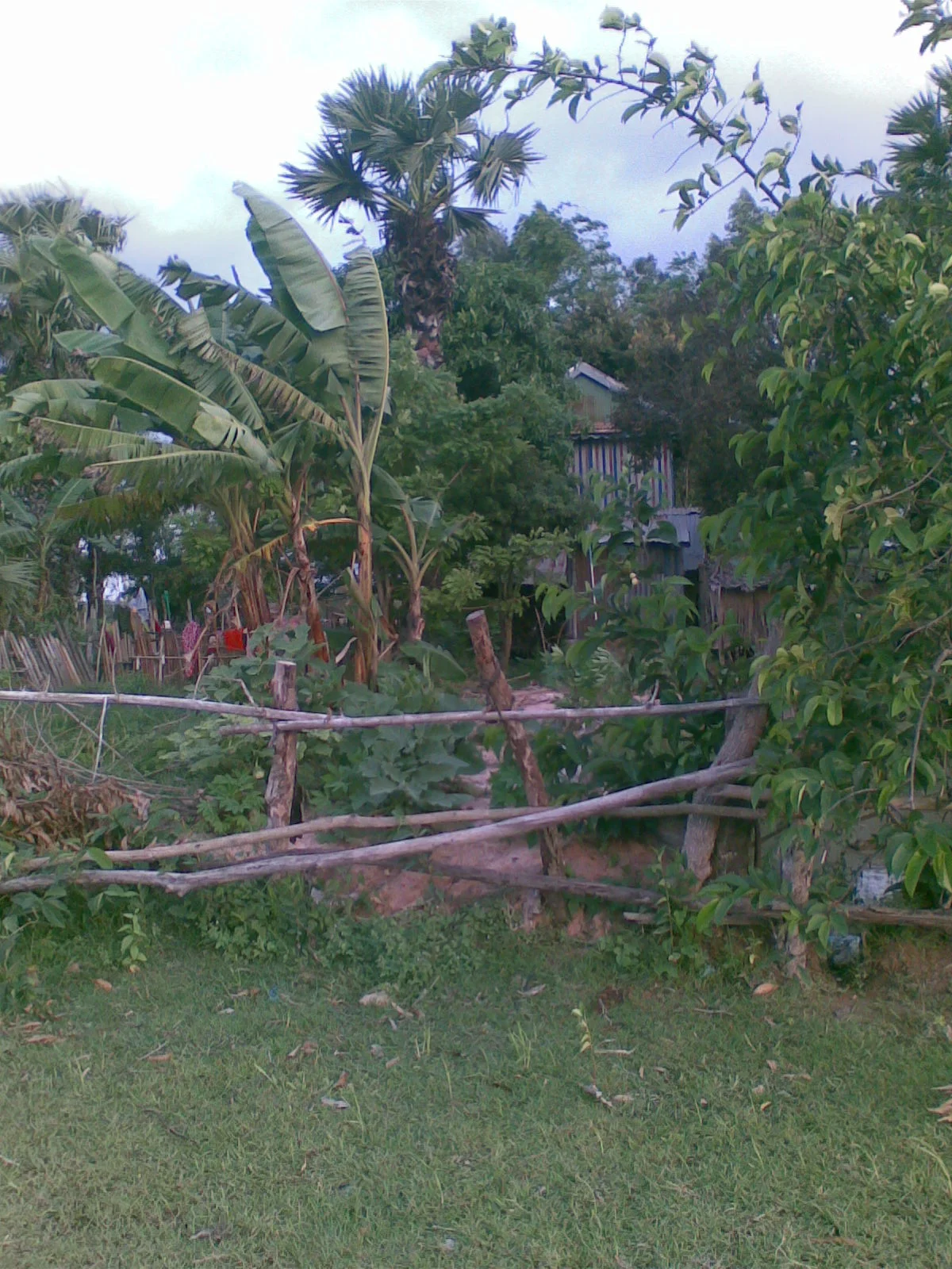 Photo of Andoung Pou