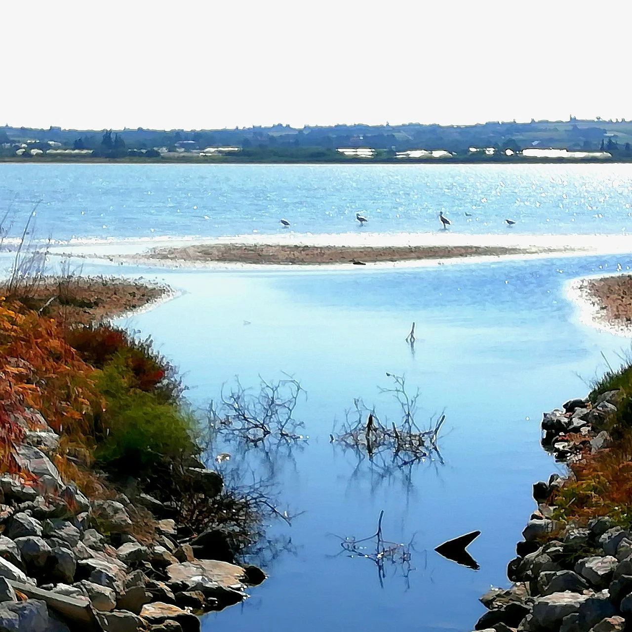 Photo of Angelochóri