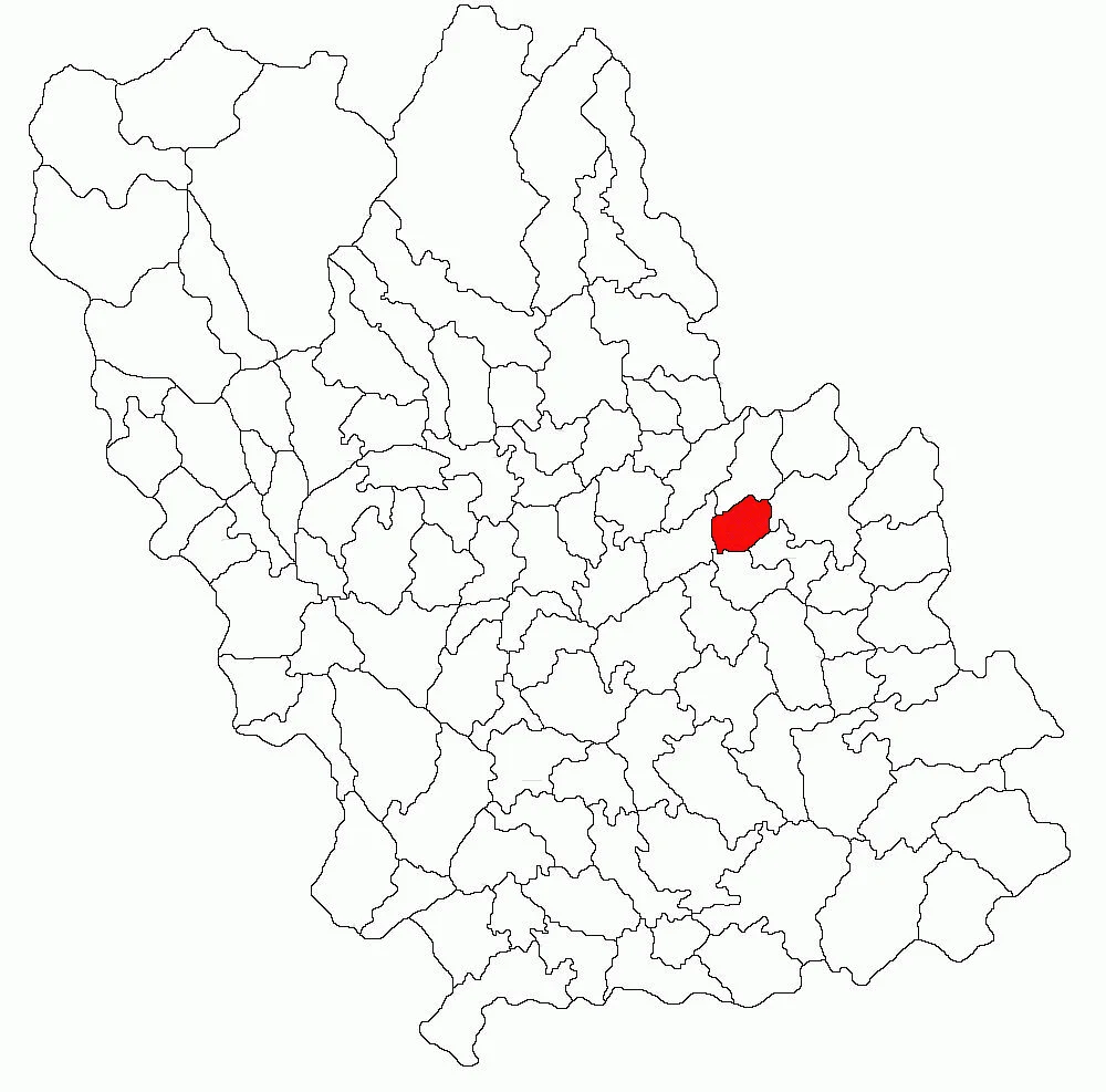 Photo of Apostolache