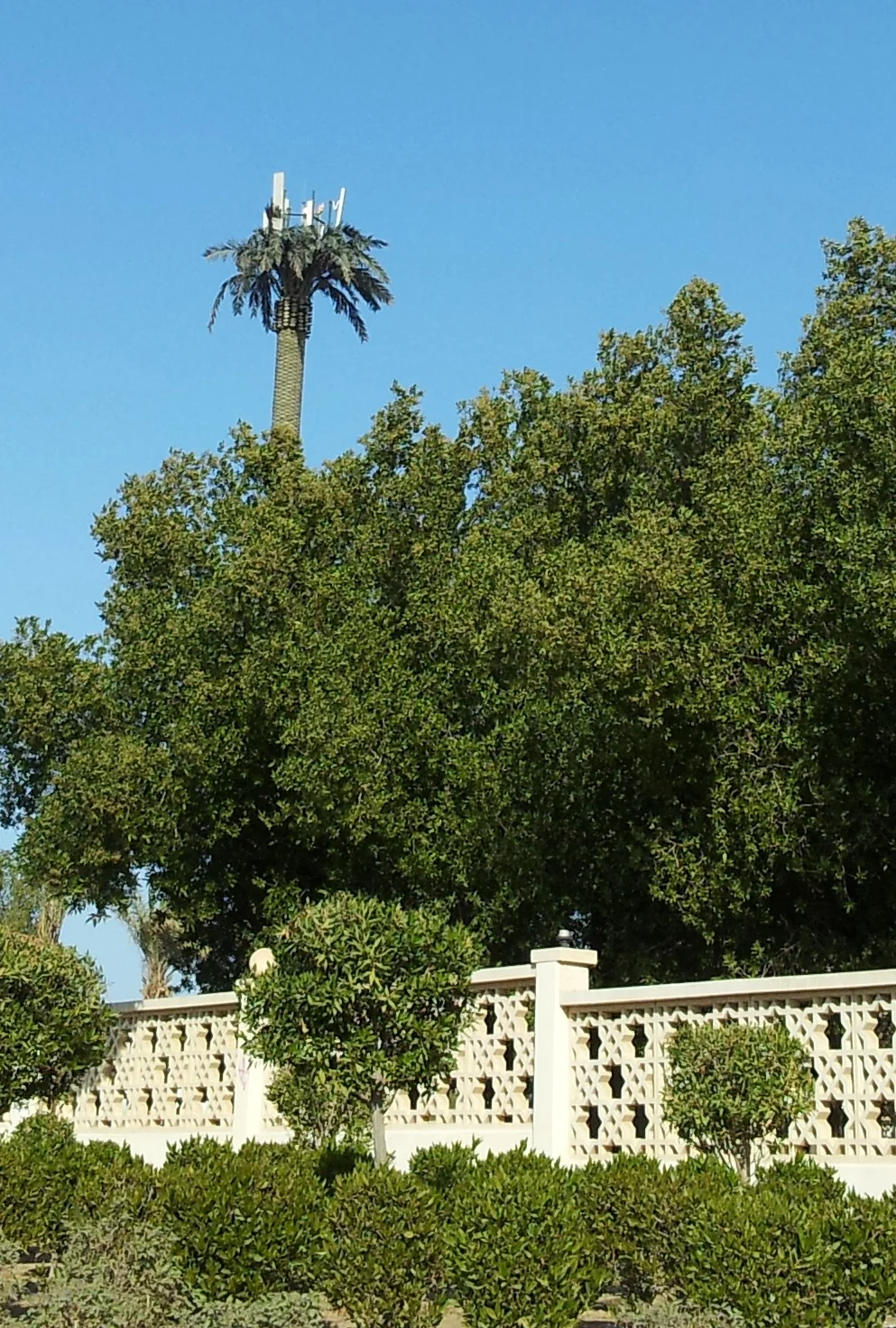 Photo of Ar Rumaythīyah