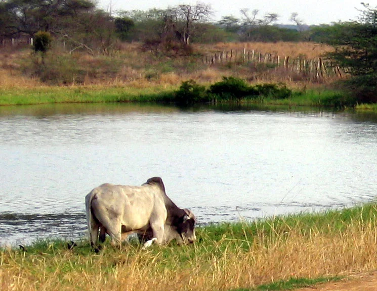 Photo of Aragua de Barcelona