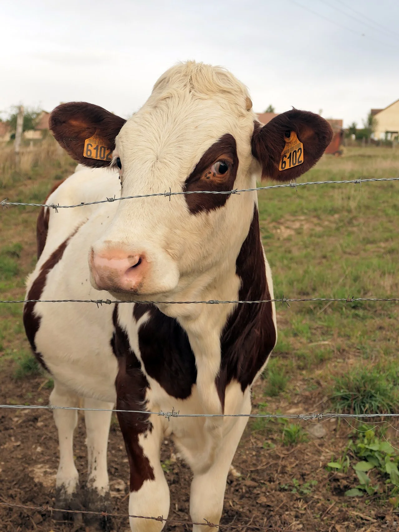 Photo of Arc-lès-Gray