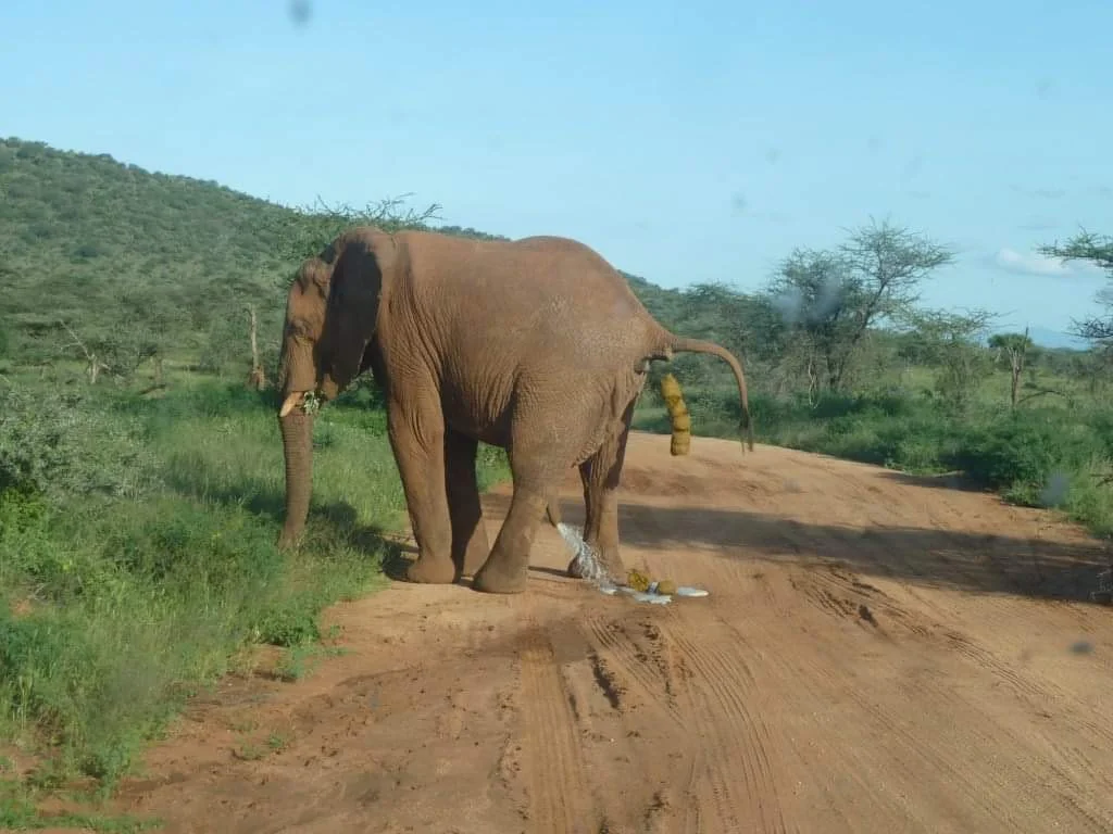 Photo of Archers Post