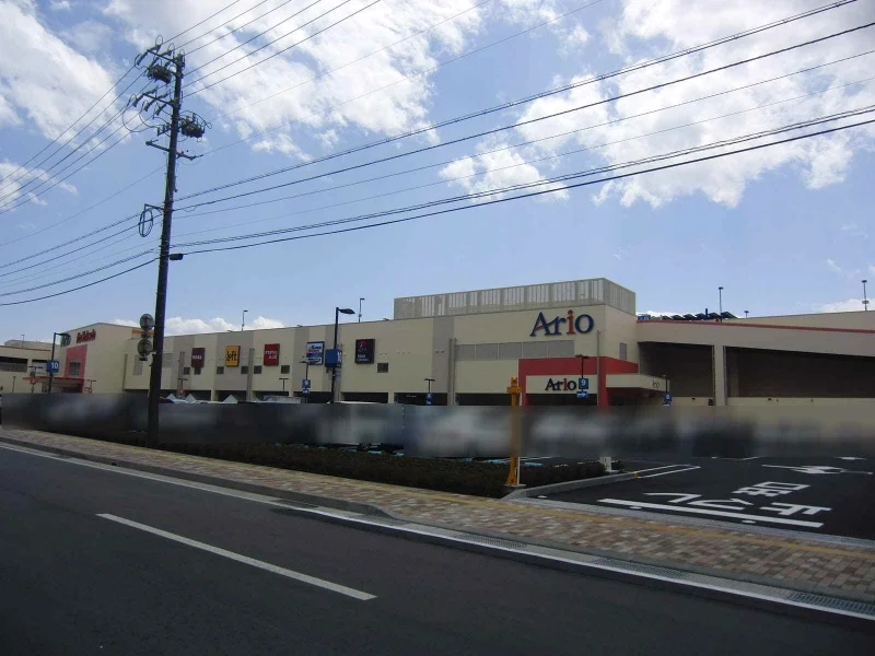 Photo of Ario de Rosales