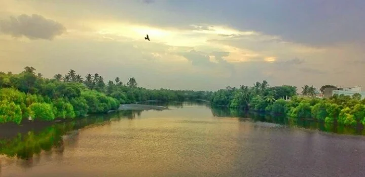 Photo of Ariyānkuppam