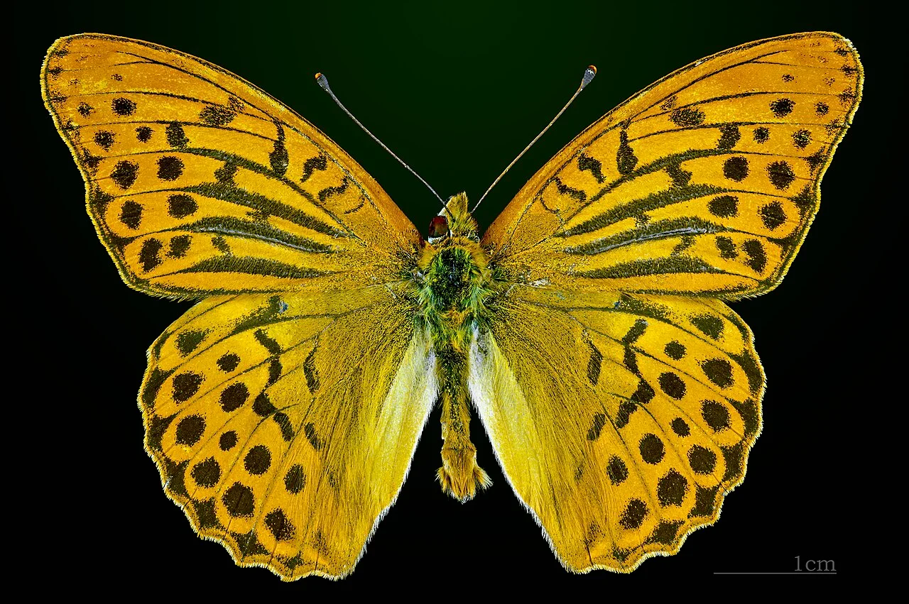 Photo of Arkhangel’skoye