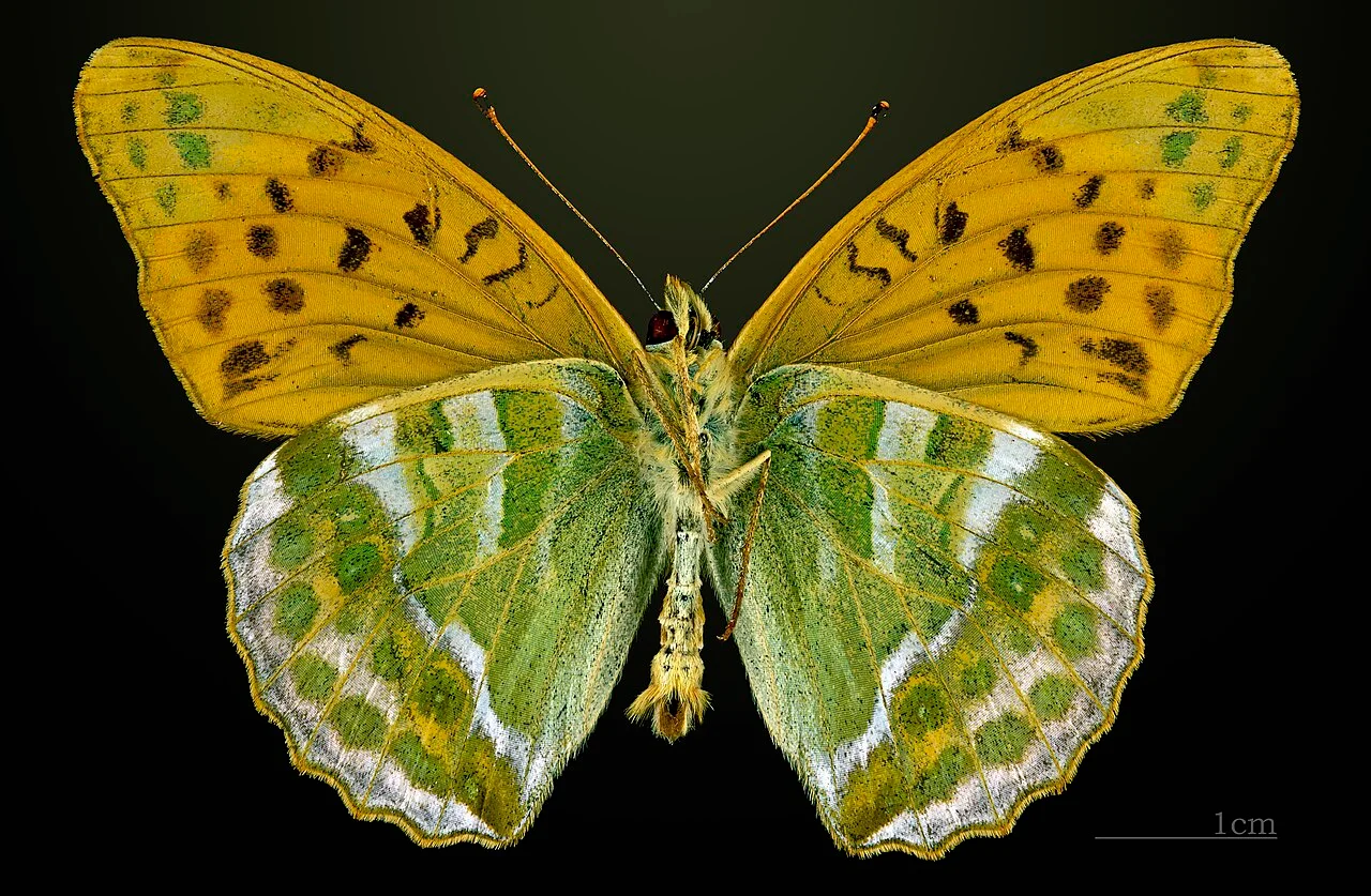 Photo of Arkhangel’skoye