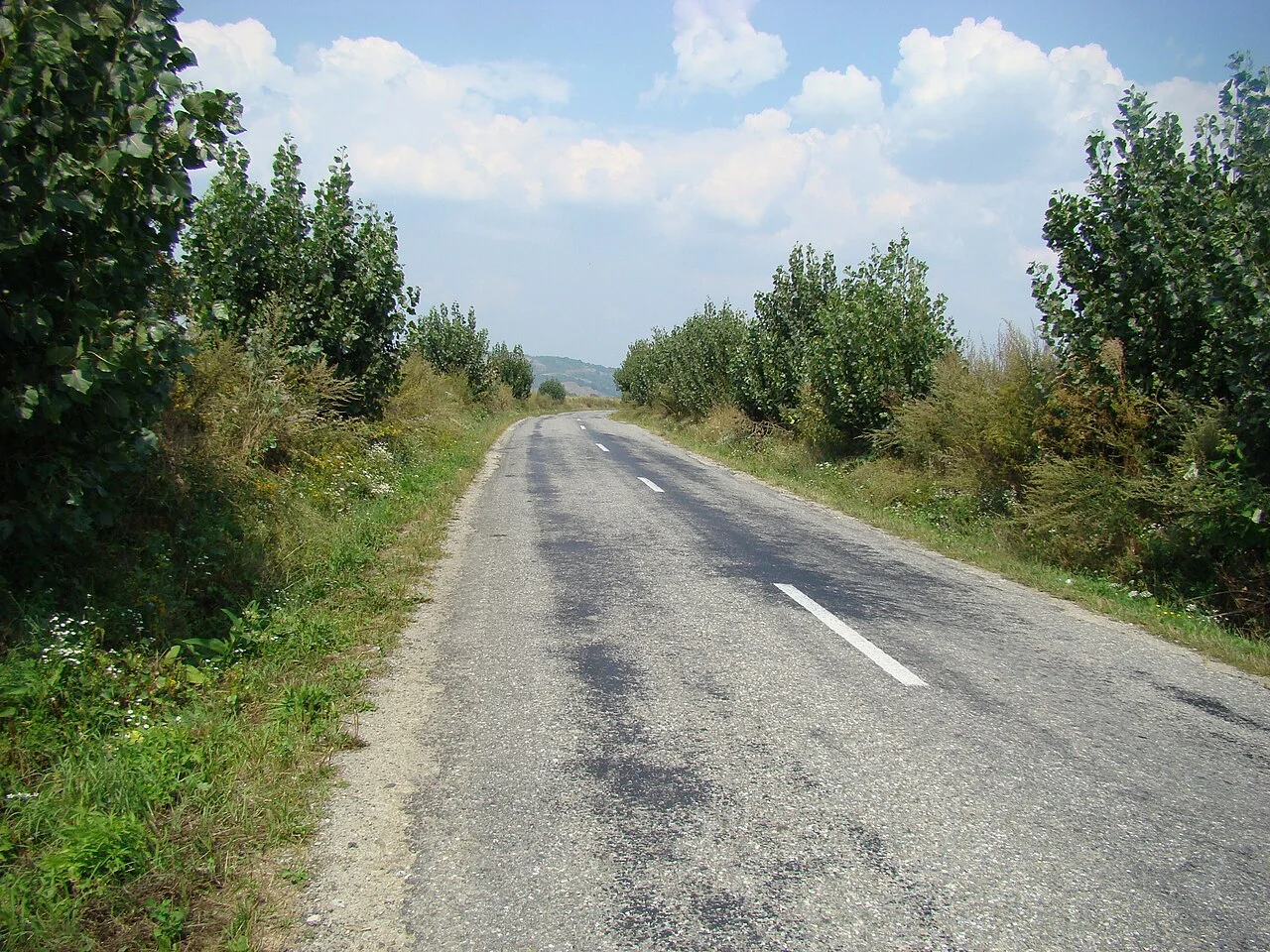 Photo of Arpașu de Sus