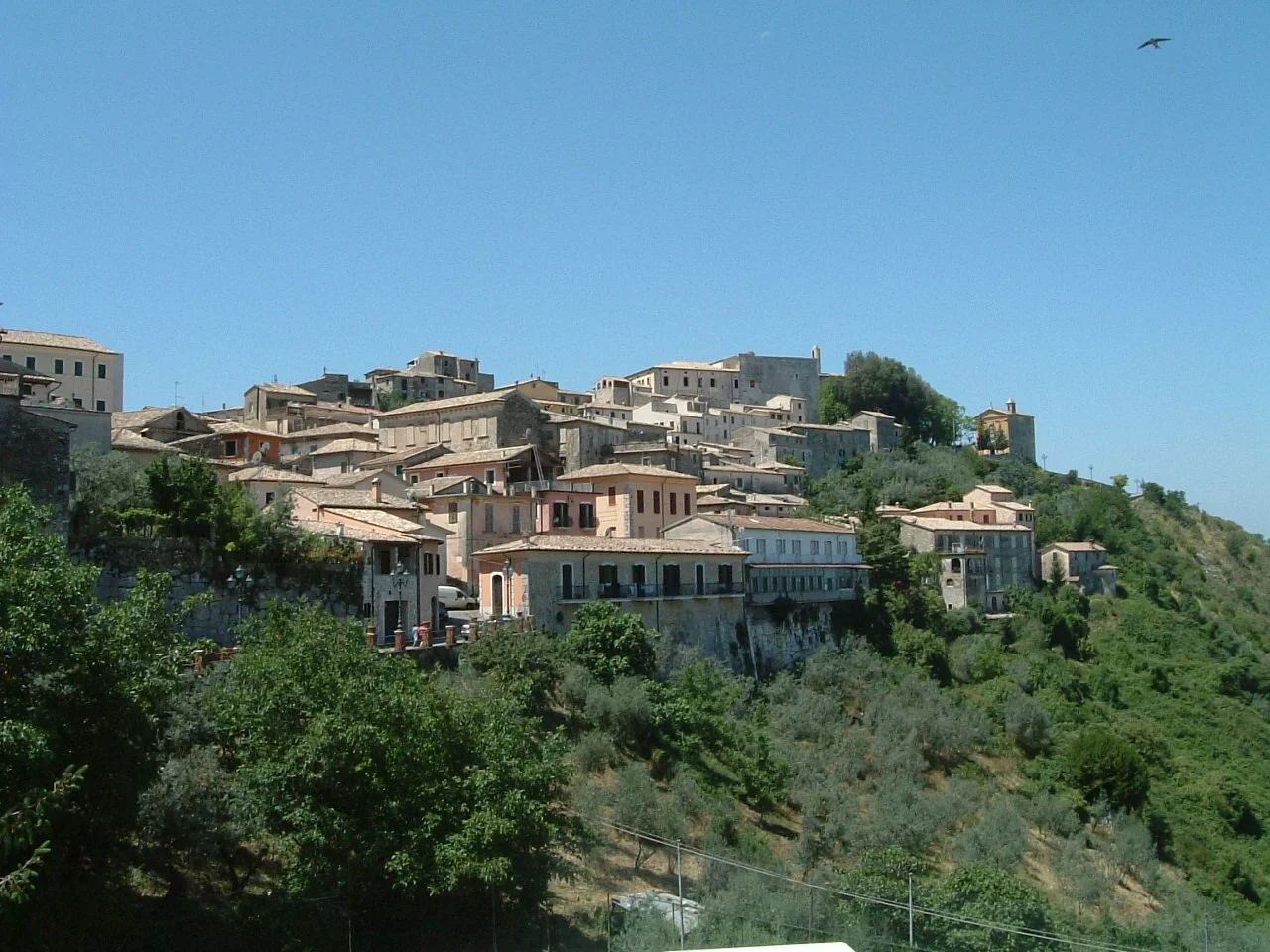 Photo of Arpino