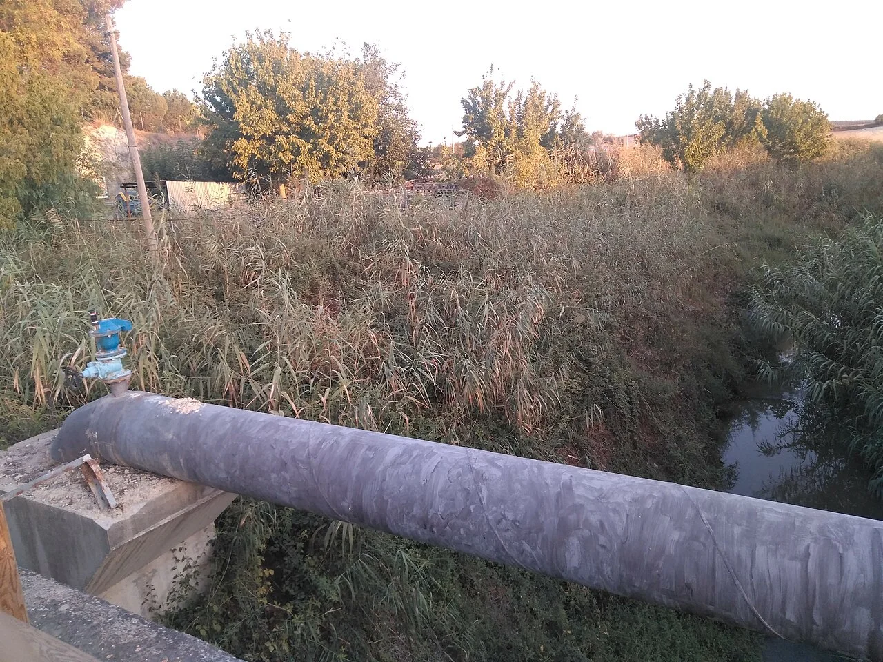 Photo of Arroyo Salado