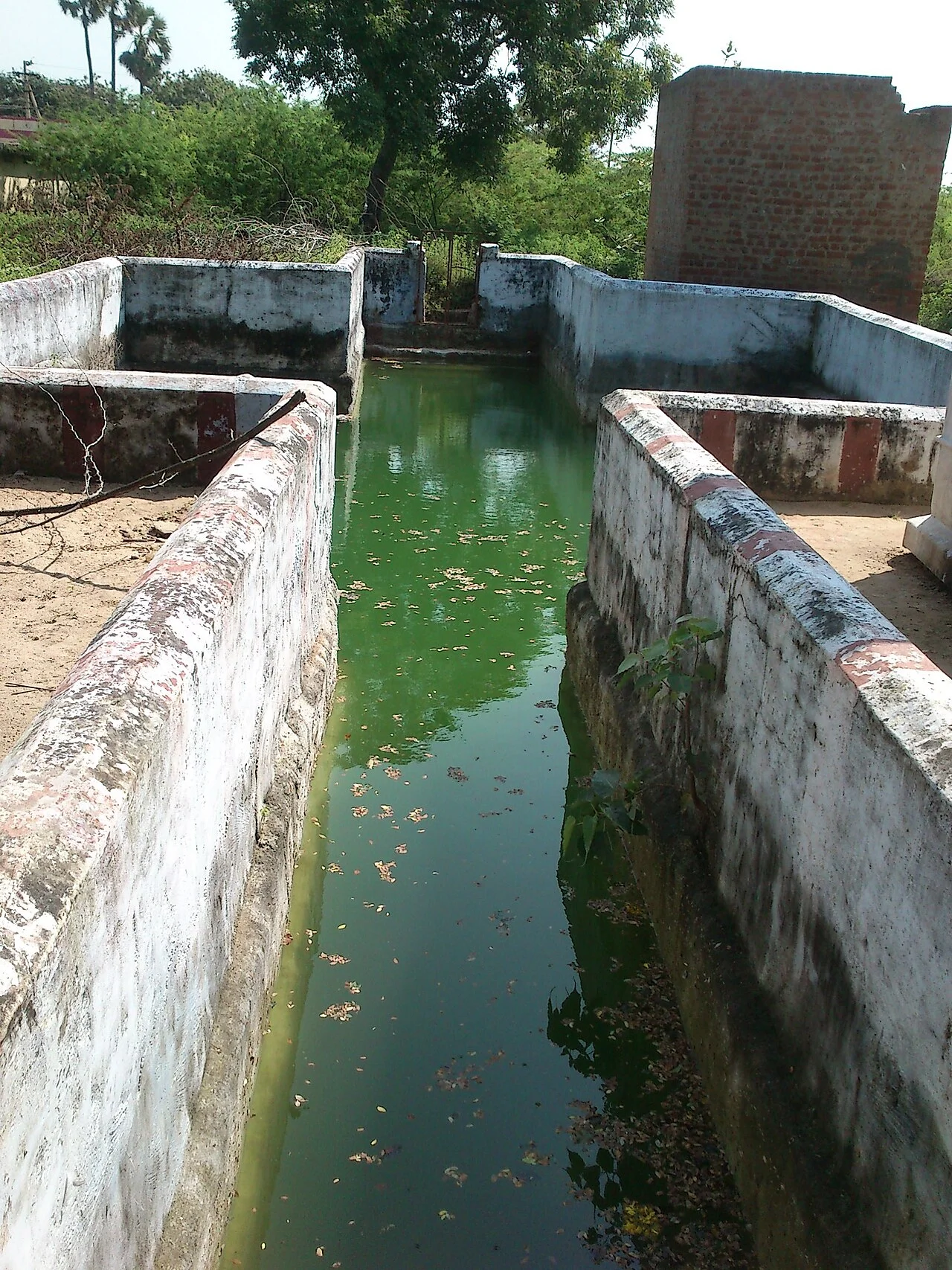 Photo of Arumuganeri