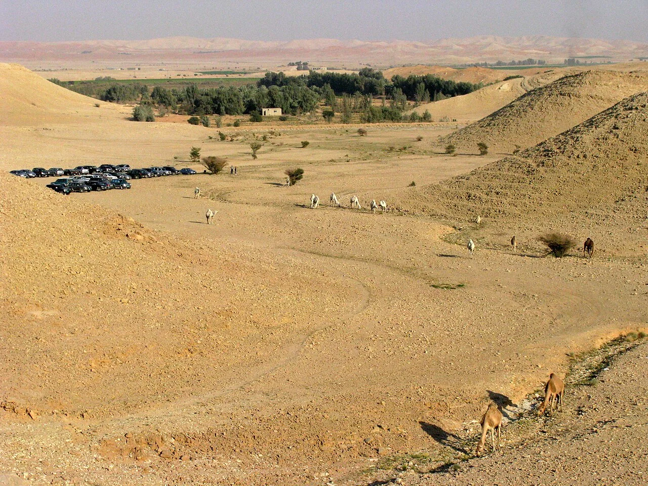 Photo of Ash Shawātī