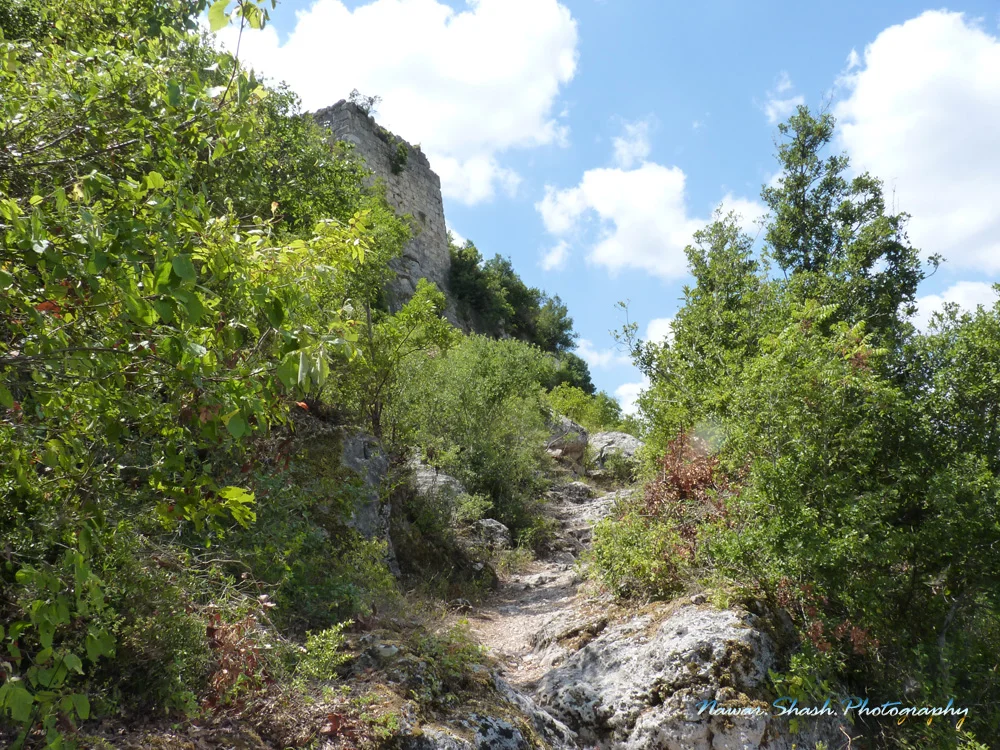Photo of Ash Shaykh Badr