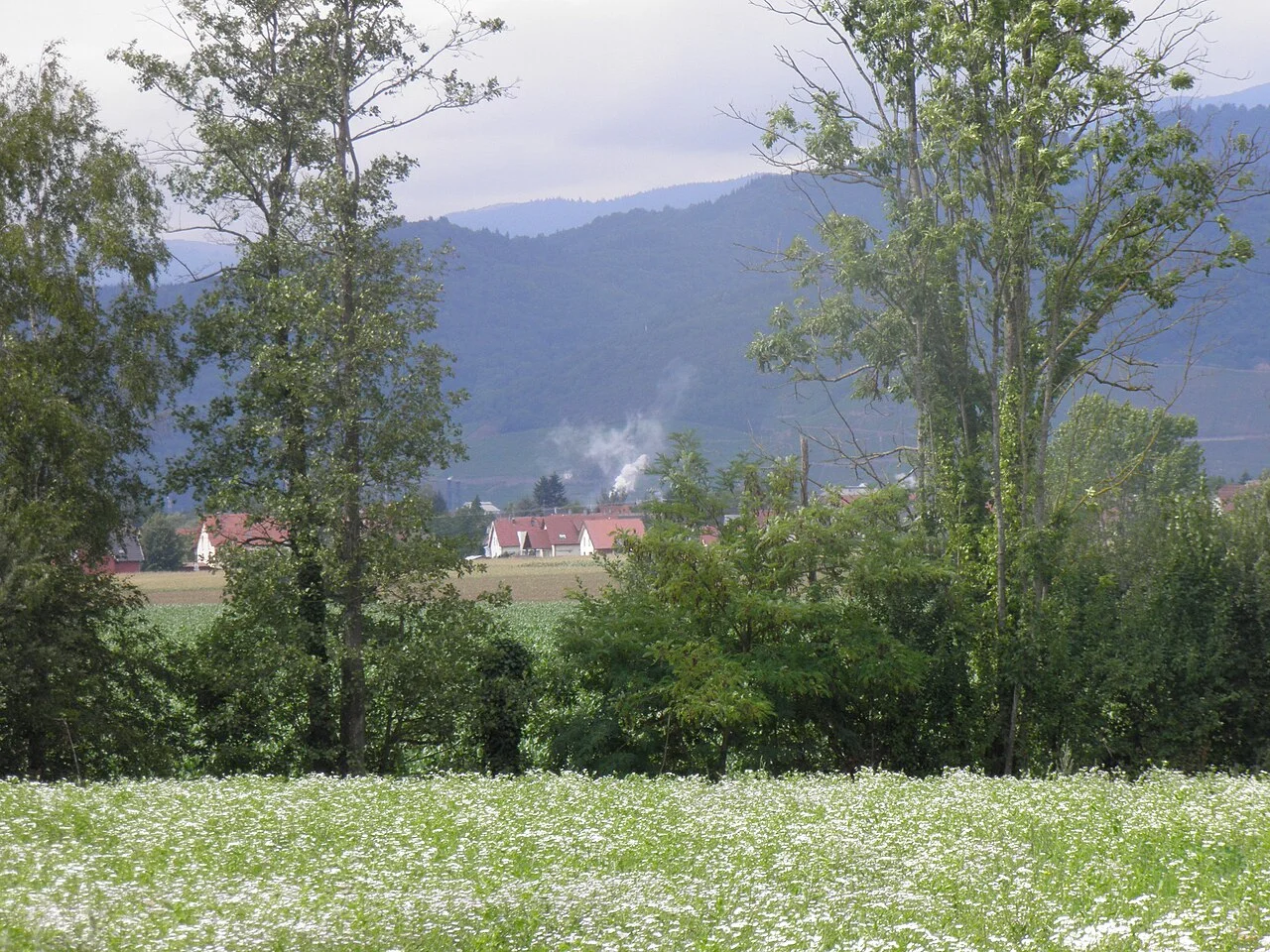 Photo of Aspach-le-Bas