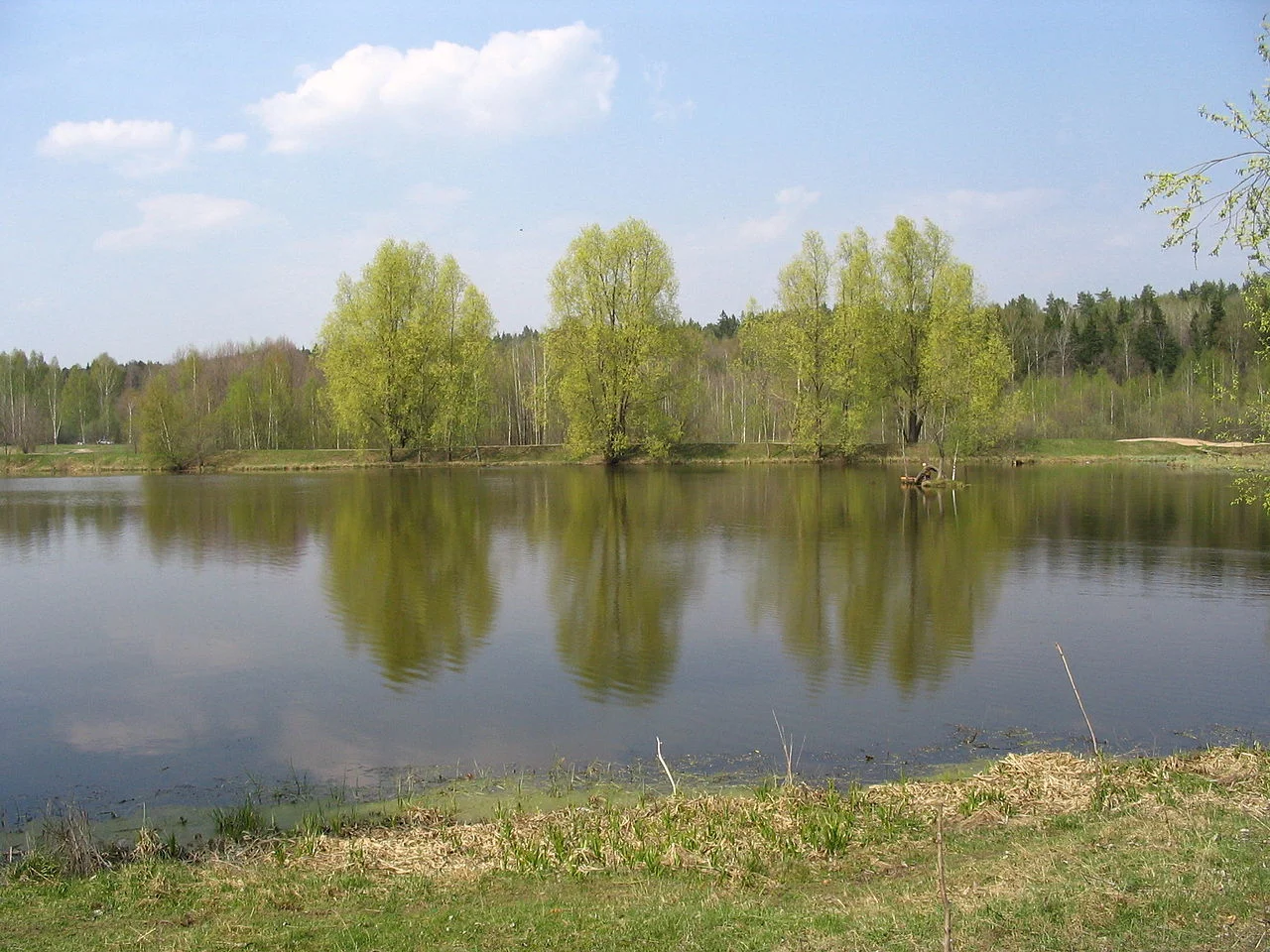 Photo of Astrakhanka