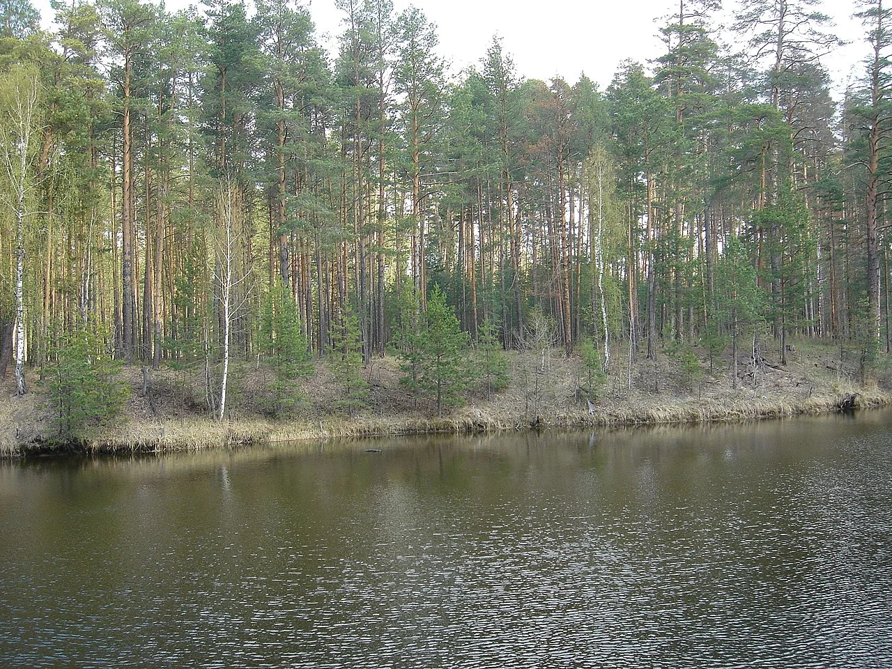 Photo of Astrakhanka