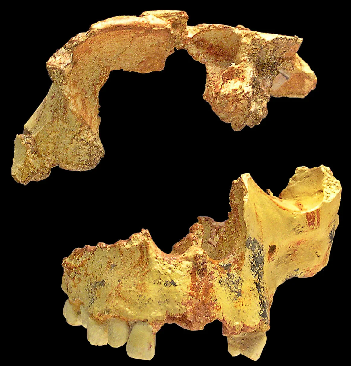 Photo of Atapuerca