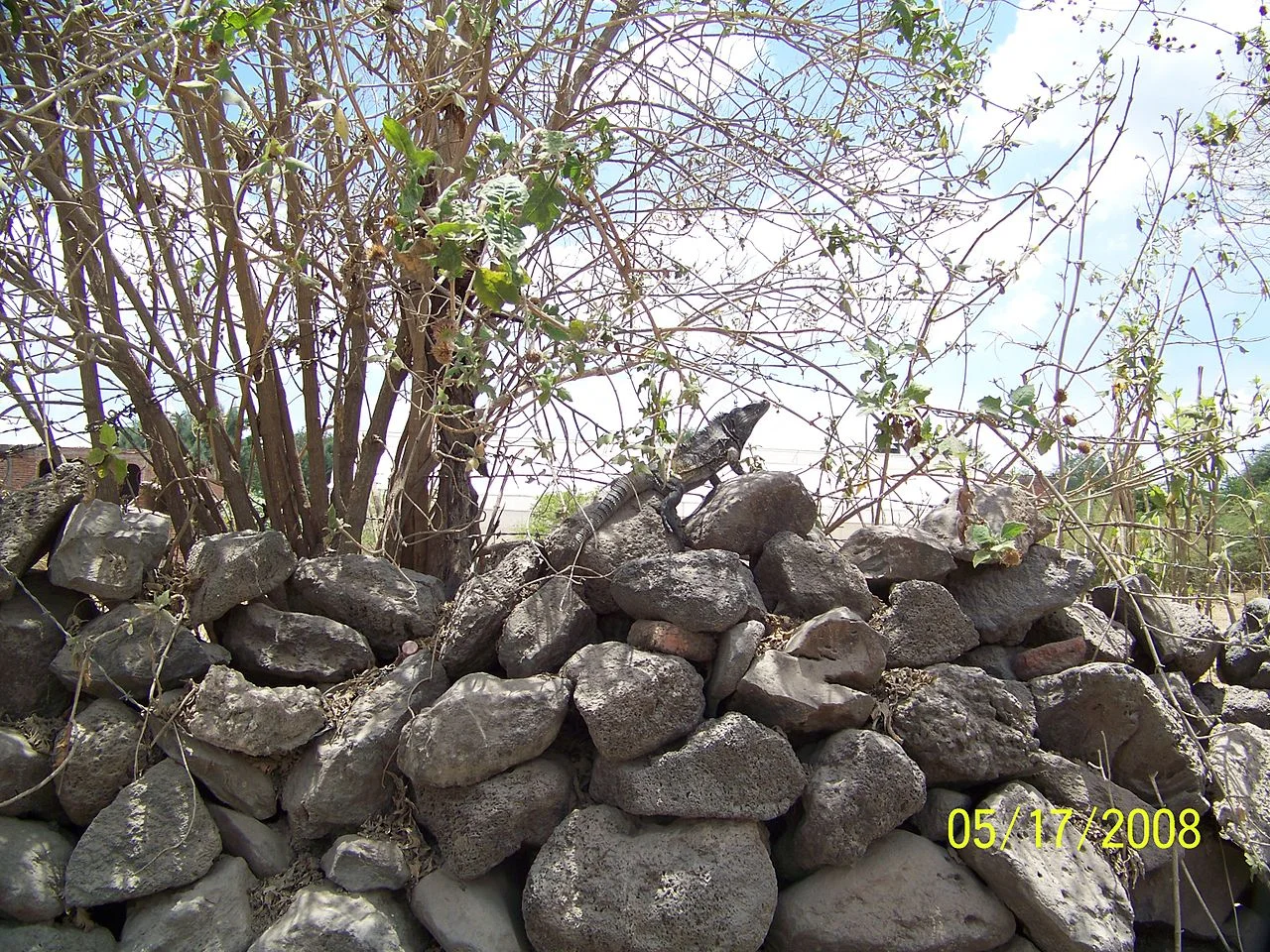 Photo of Atotonilco el Bajo