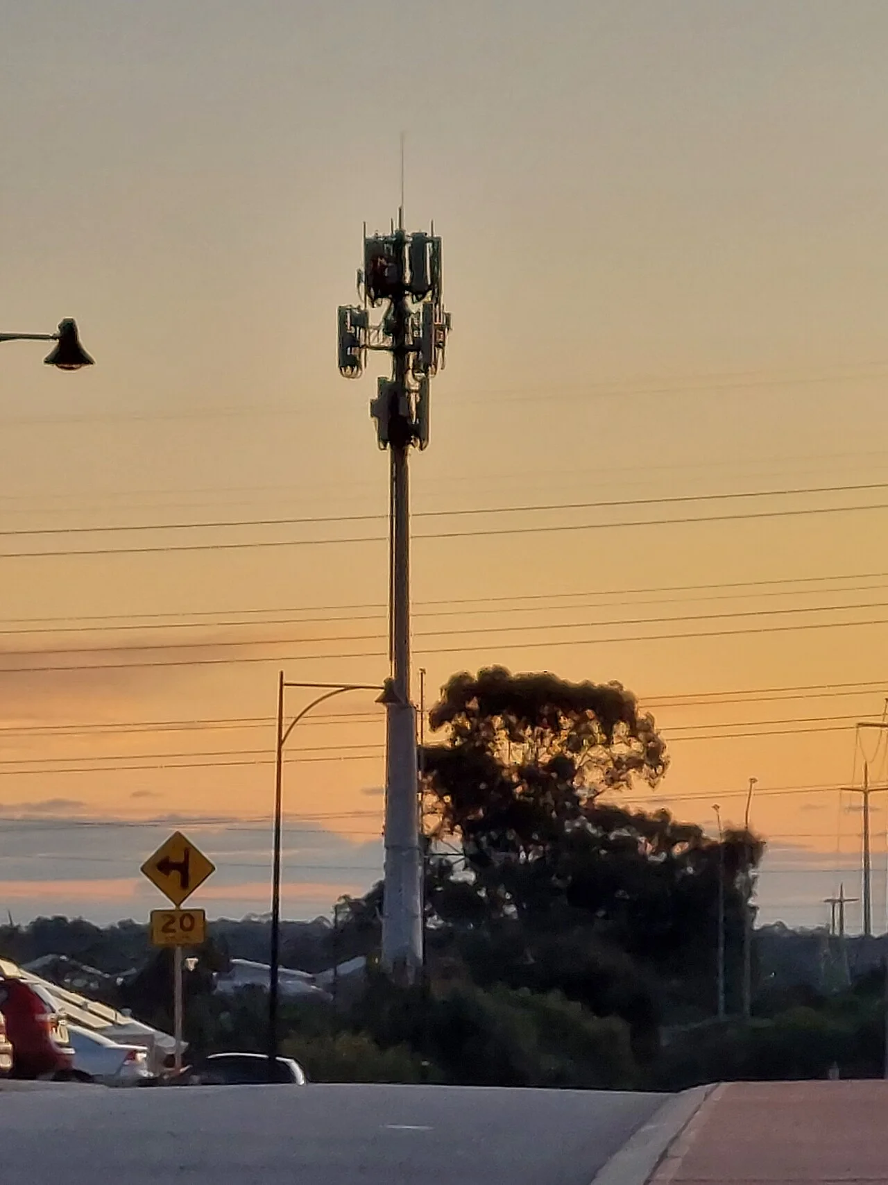 Photo of Aubin Grove