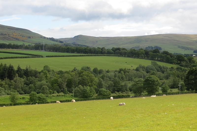 Field, Auchterarder