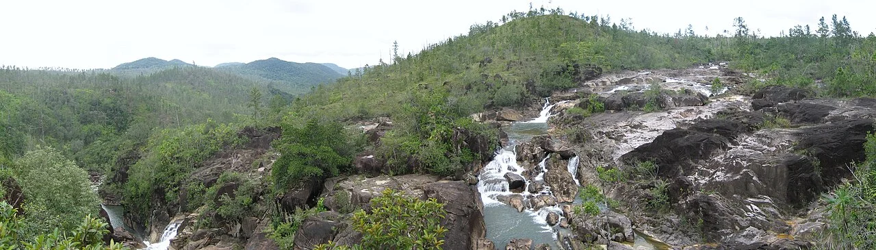 Photo of August Pine Ridge