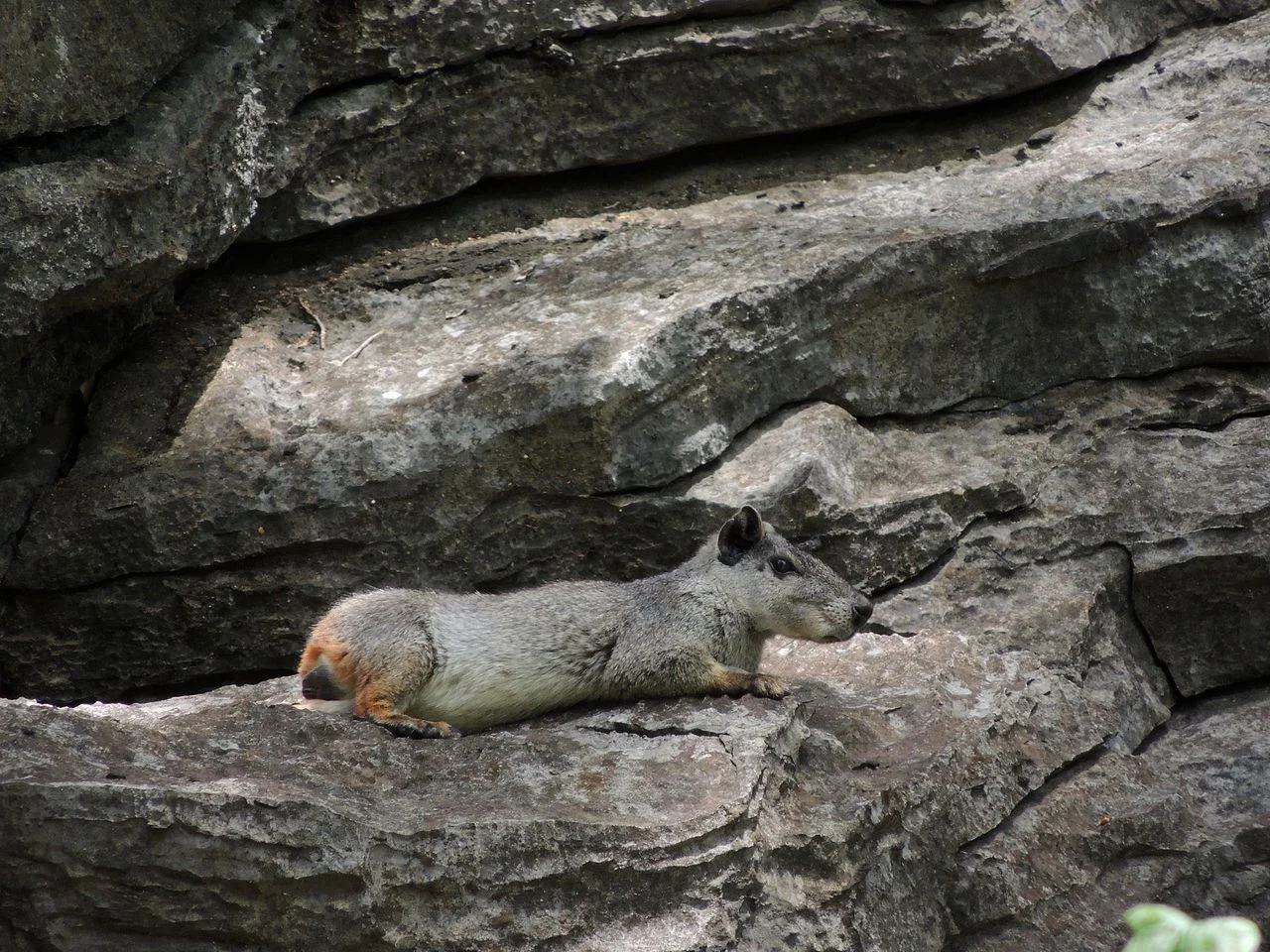 Photo of Aurora do Tocantins