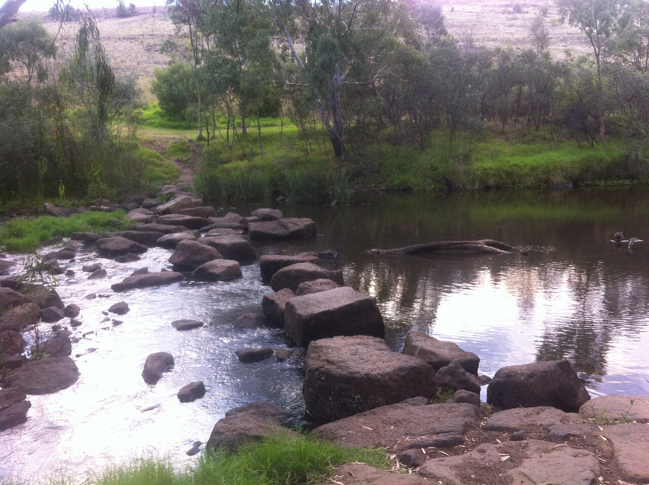 Solomon's ford on the Maribyrnong River Avondale Heights prior to houses being built opposite in Sunshine North. Normal water level.