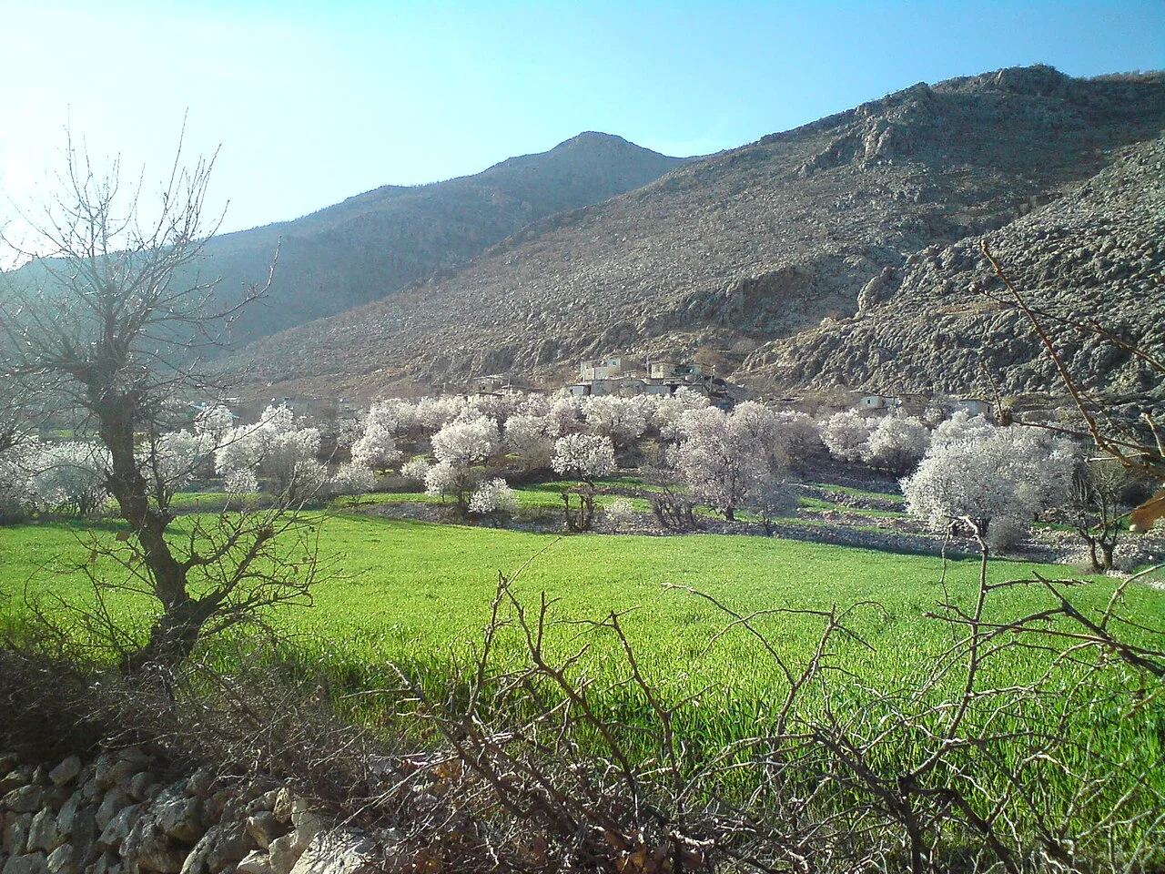 Photo of Aydınpınar