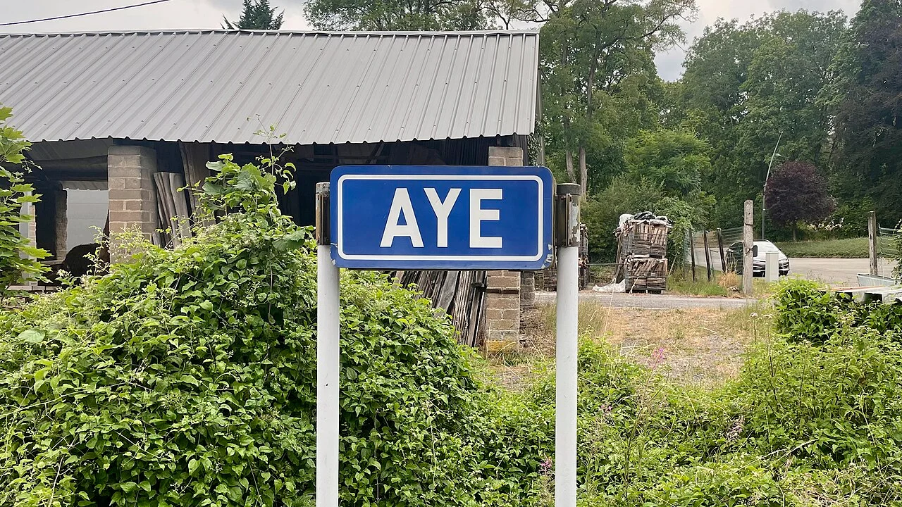 Photo of Aye