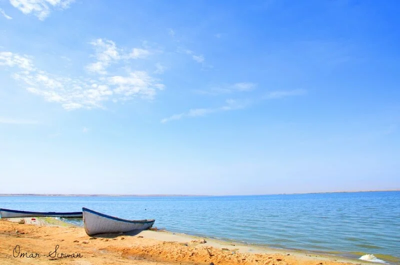 Photo of ‘Ayn Tamr