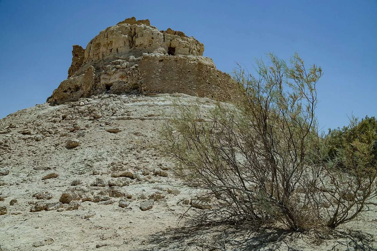 Photo of ‘Ayn Tamr