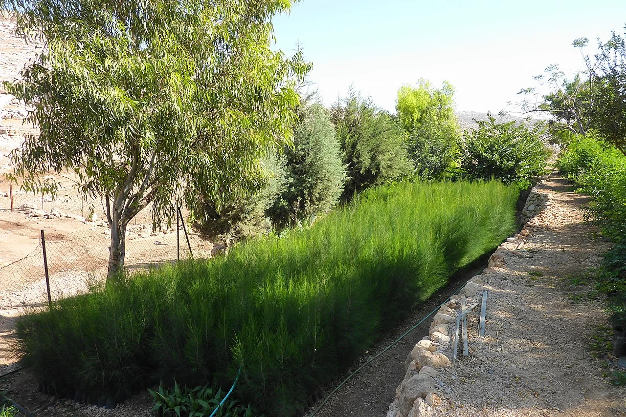 Photo of ‘Ayn Yabrūd