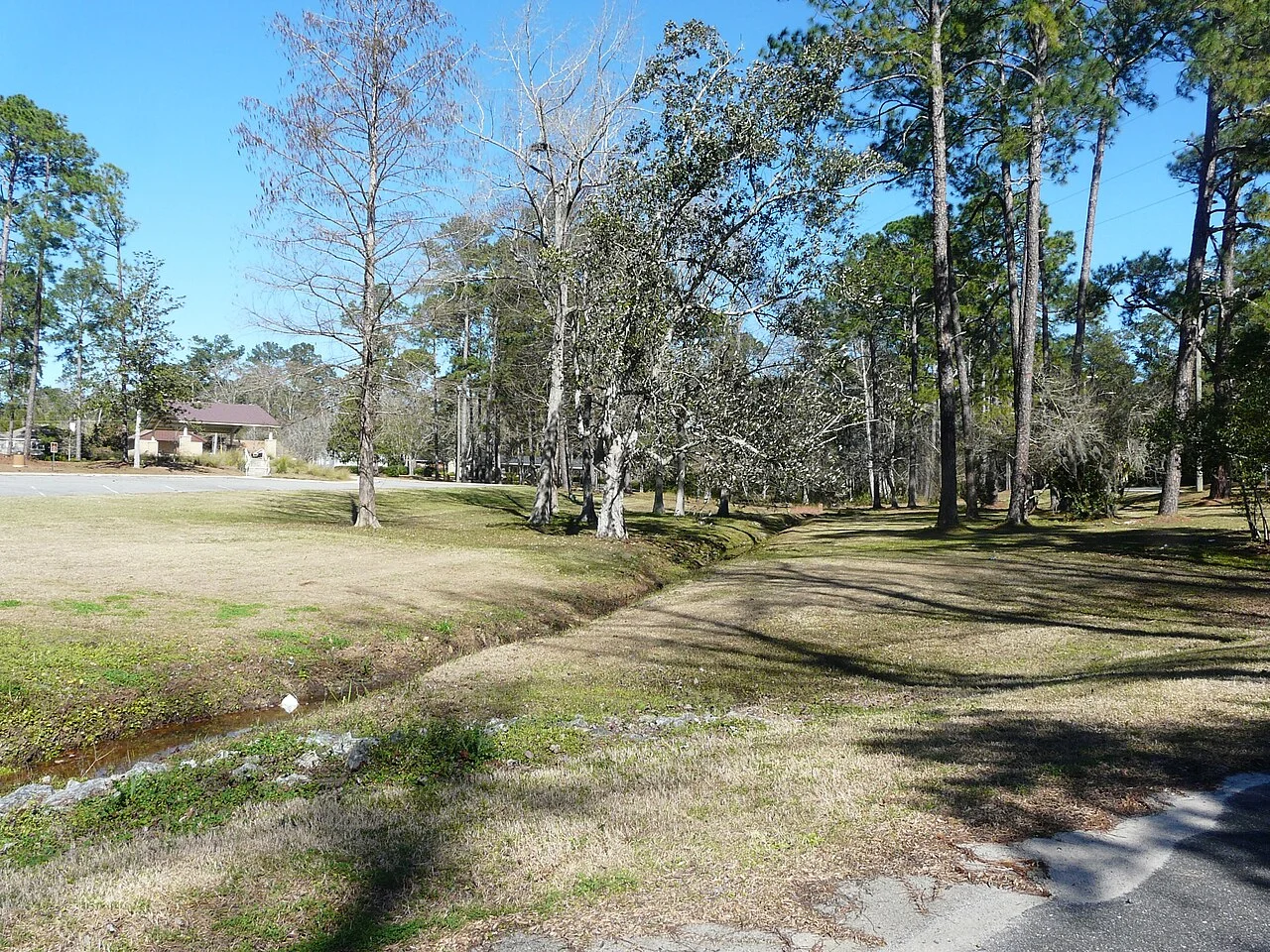 Photo of Azalea Park