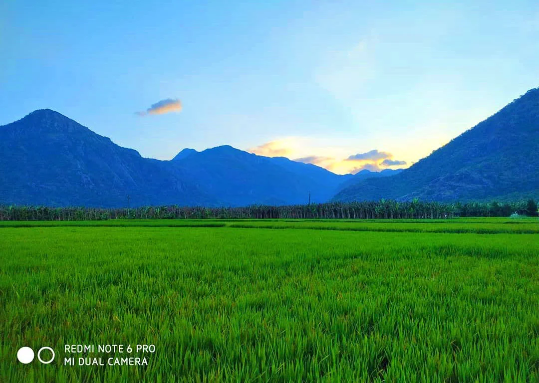 Photo of Azhagiapāndipuram