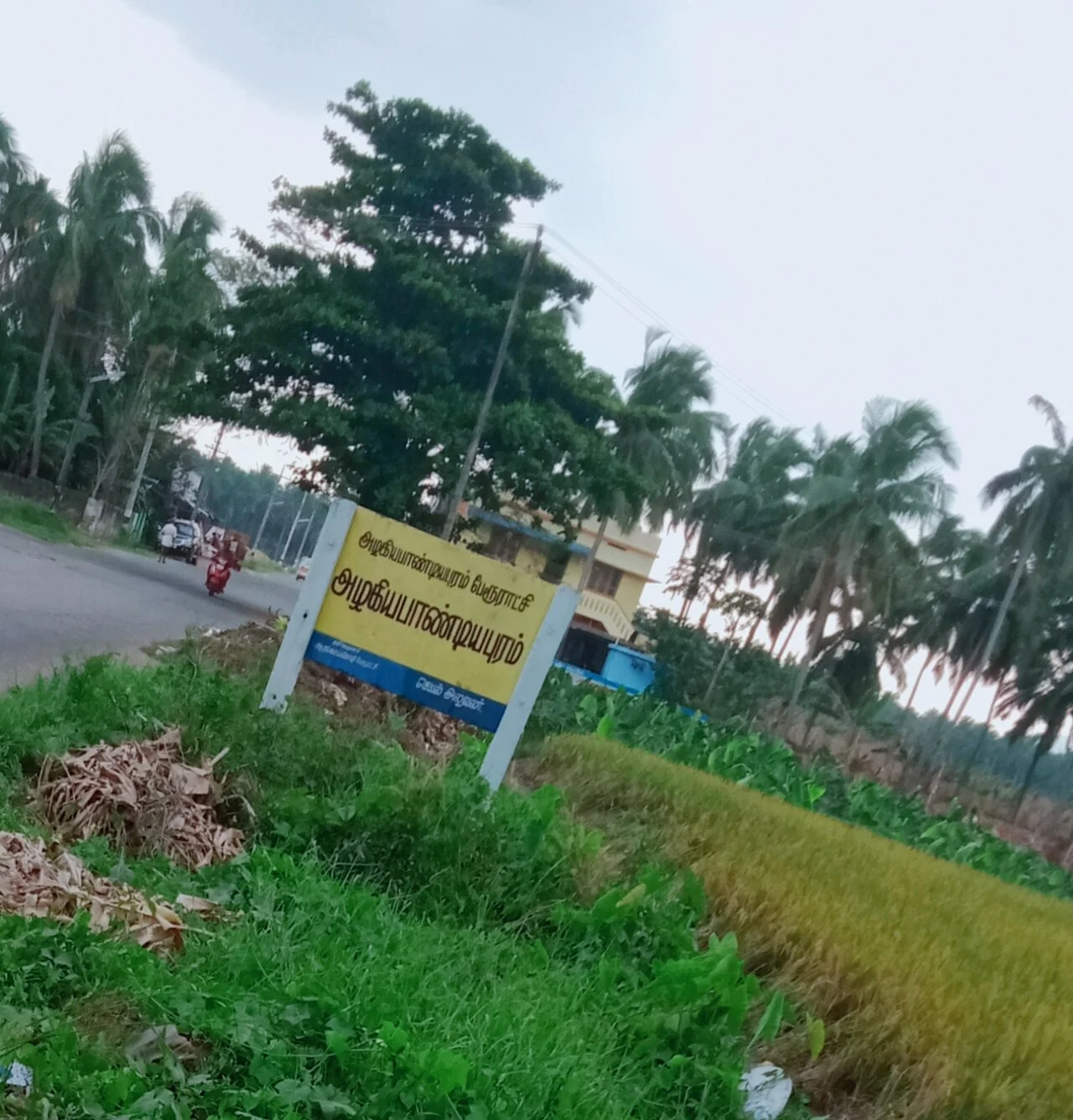 Photo of Azhagiapāndipuram