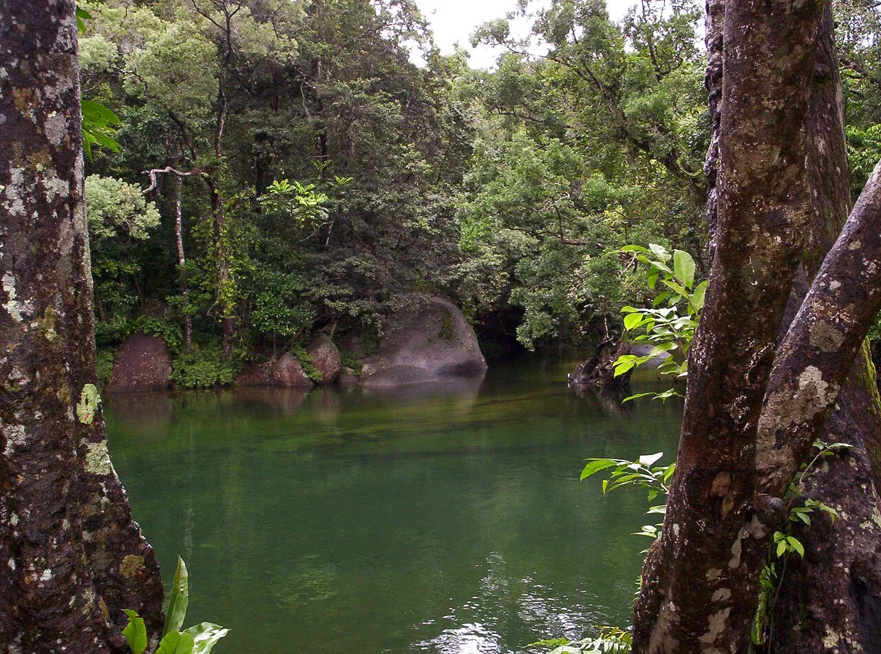 Photo of Babinda