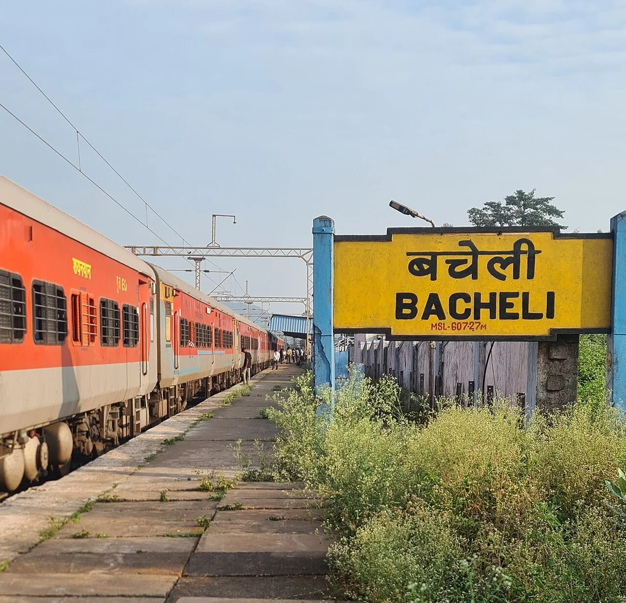 Photo of Bacheli