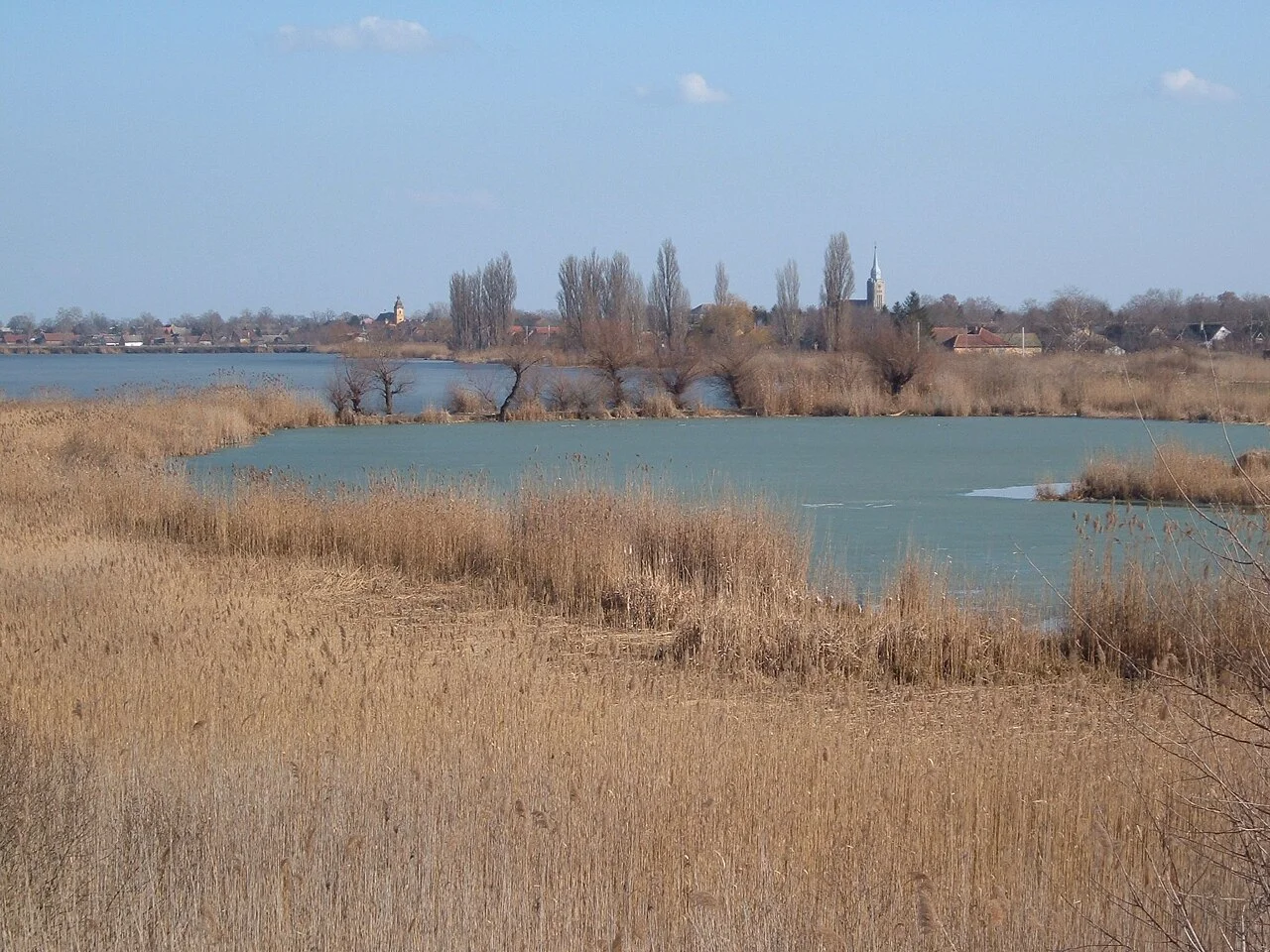 Photo of Bačko Gradište