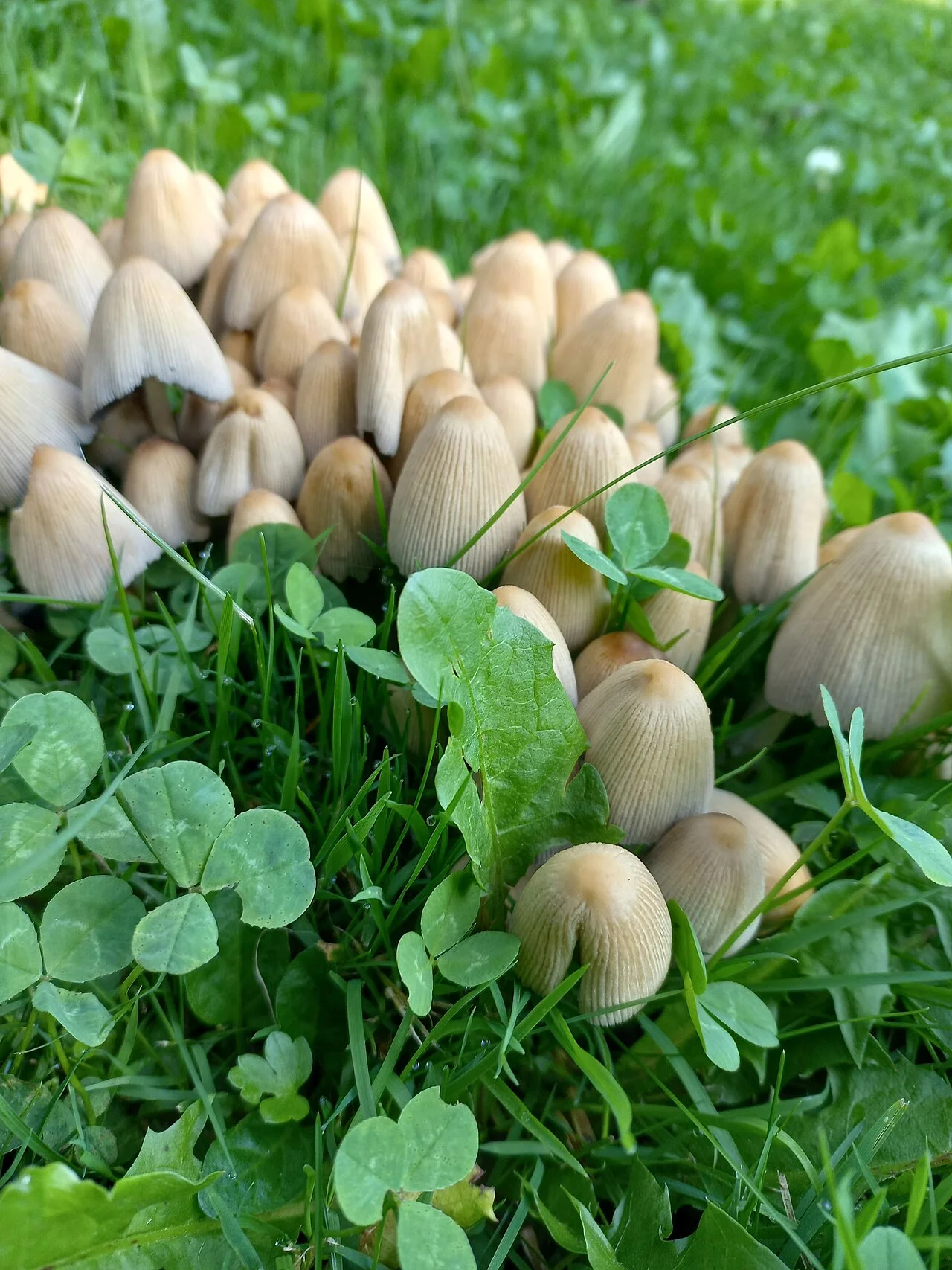 Photo of Bad Gleichenberg