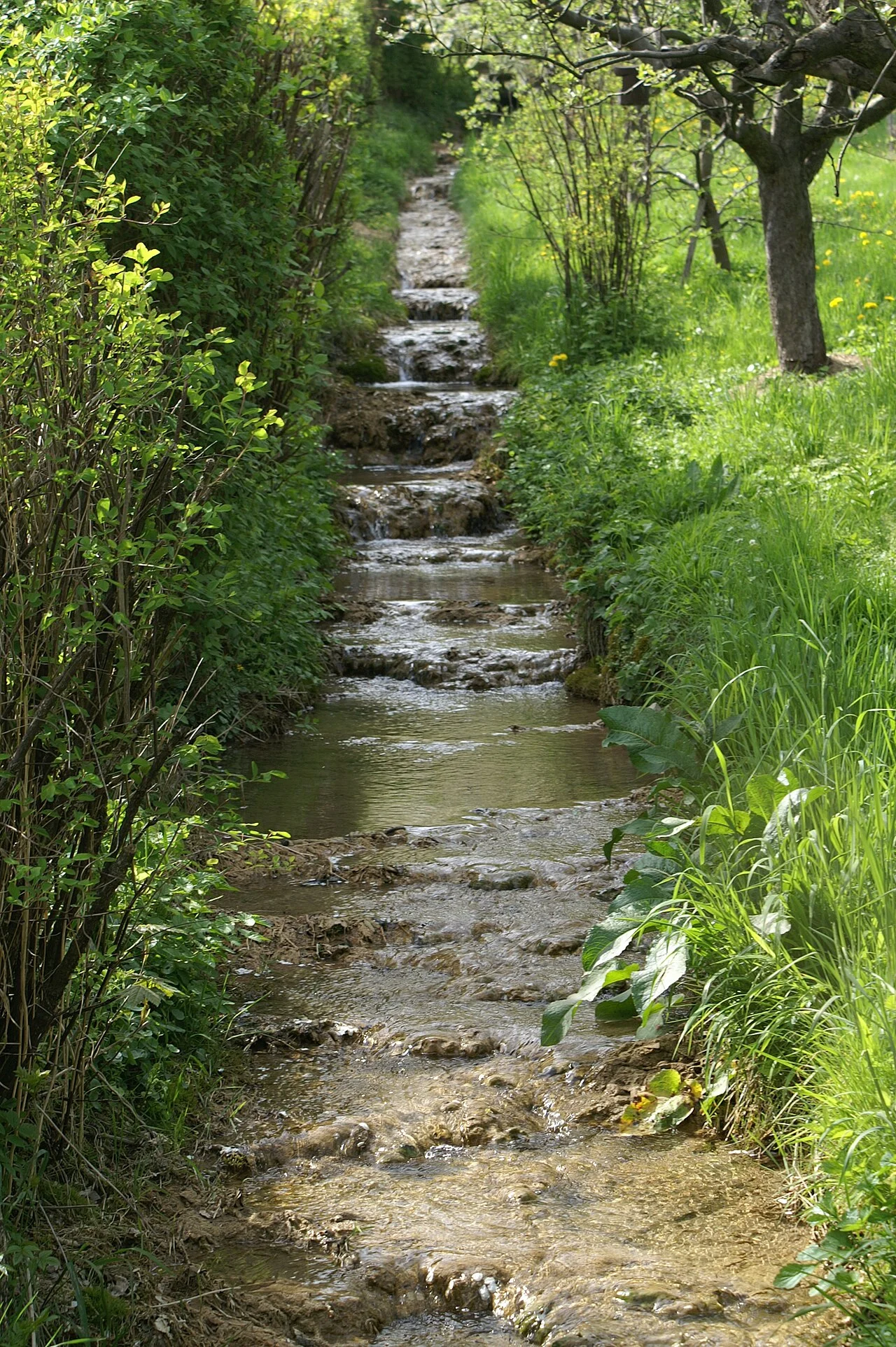 Photo of Bad Überkingen